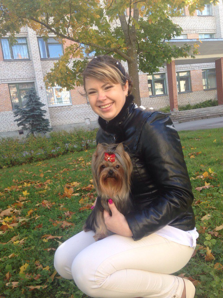 2015 г Результаты выставок. Питомник Йоркширских терьеров Дэнстайл в Санкт-Петербурге заводчик Тих