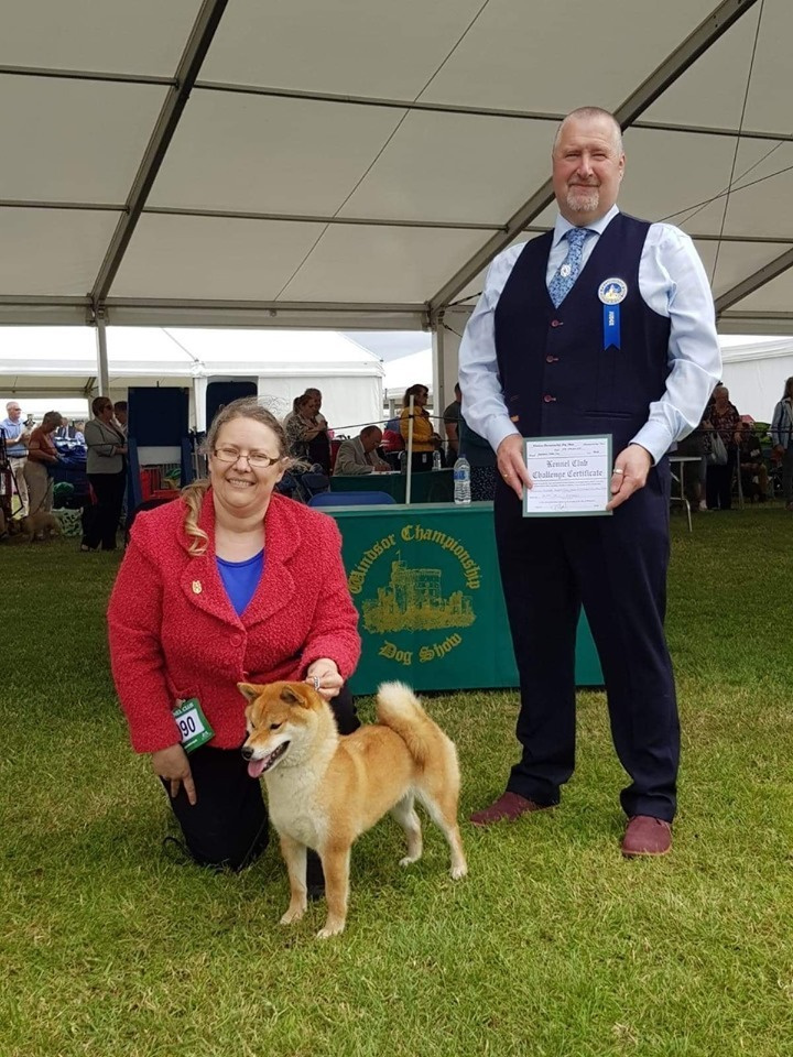 GRADUATES OF THE KENNEL. SHIOMARU Shiba and Akita Inu Kennel
