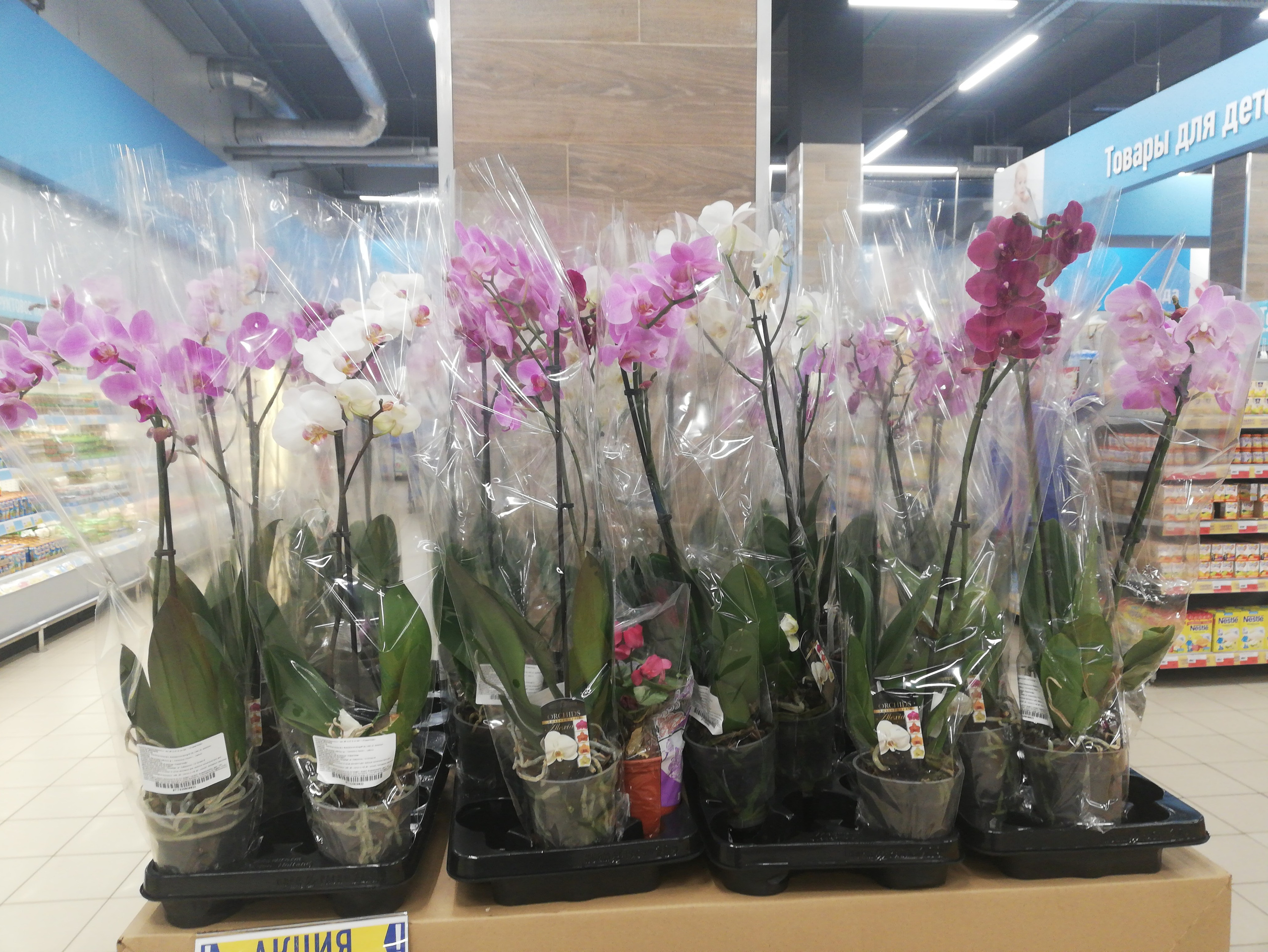 КАК РАБОТАЕТ. О НАС