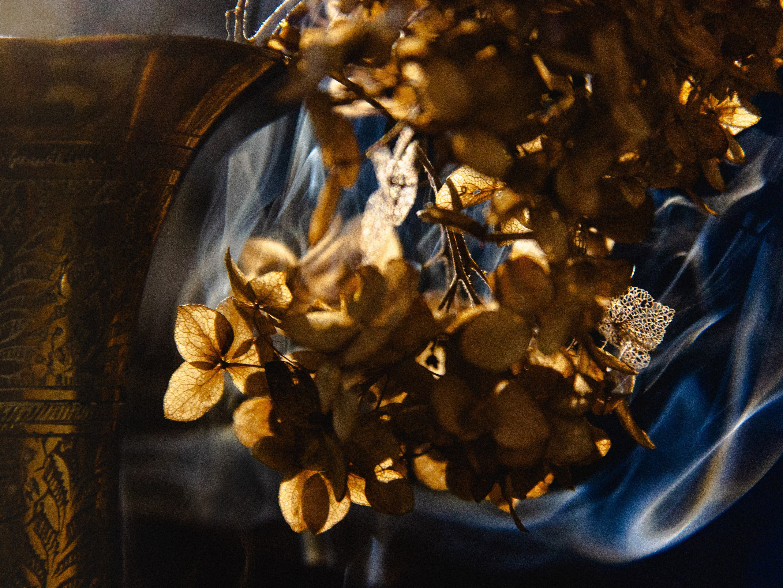 Ивличева Анастасия. ARTEXPOPHOTO