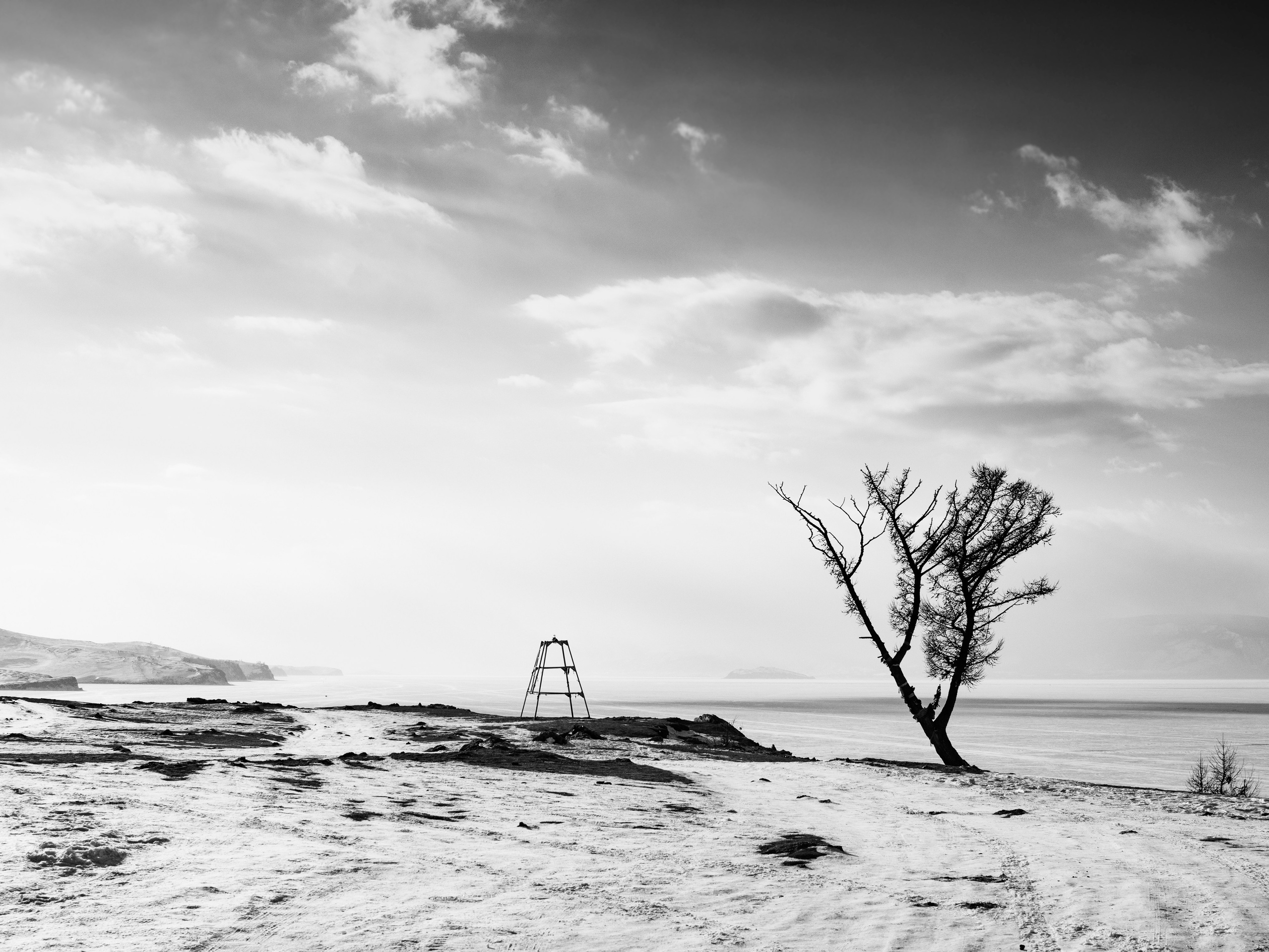 Жарова Елена. ARTEXPOPHOTO