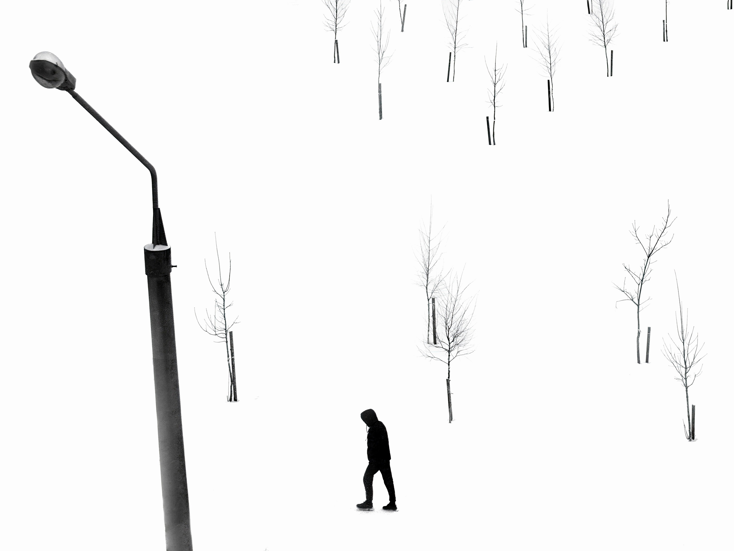 Жарова Елена. ARTEXPOPHOTO