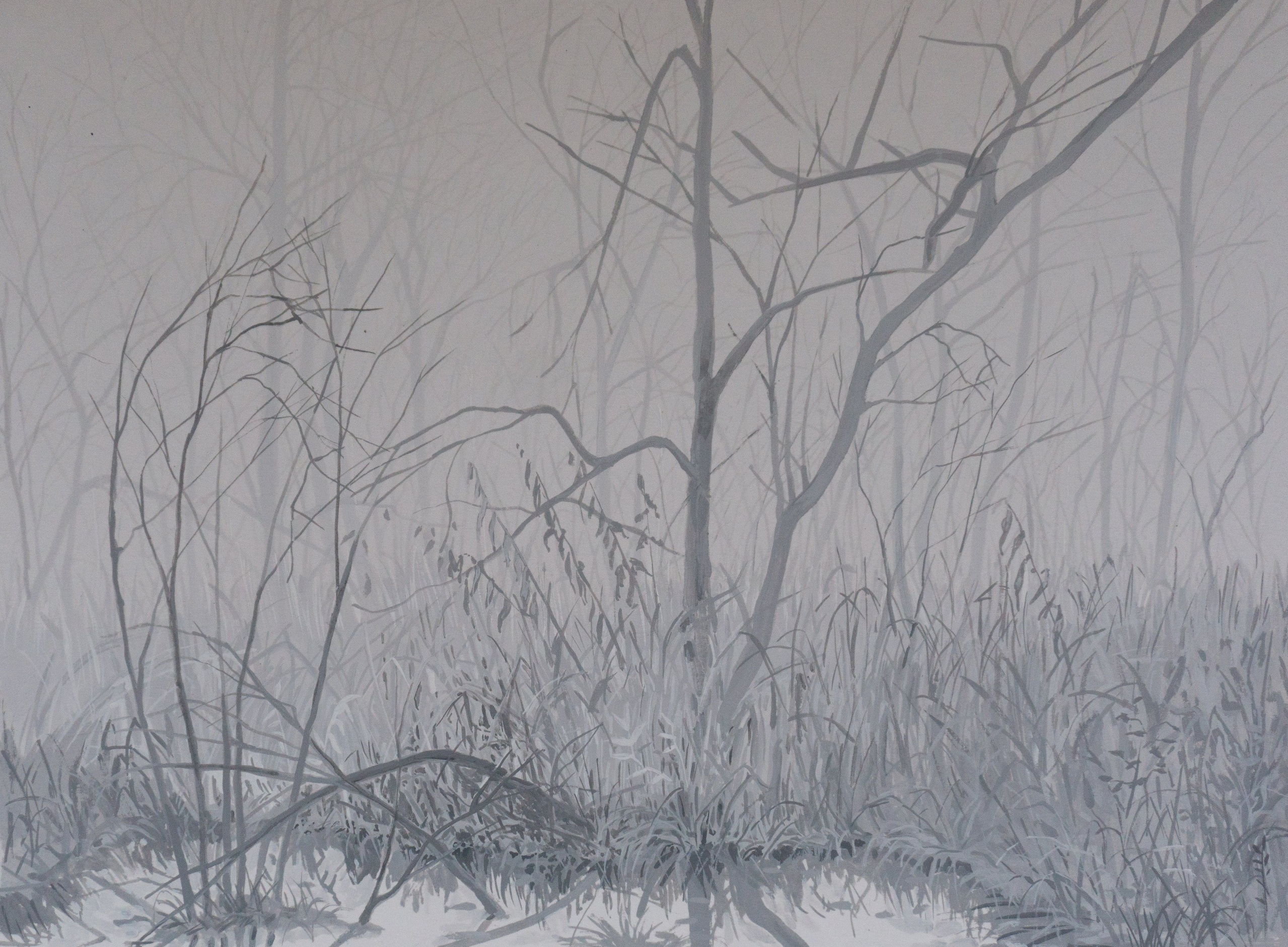 Проектное мышление ШР (1). Elena Anosova is an award-winning visual artist