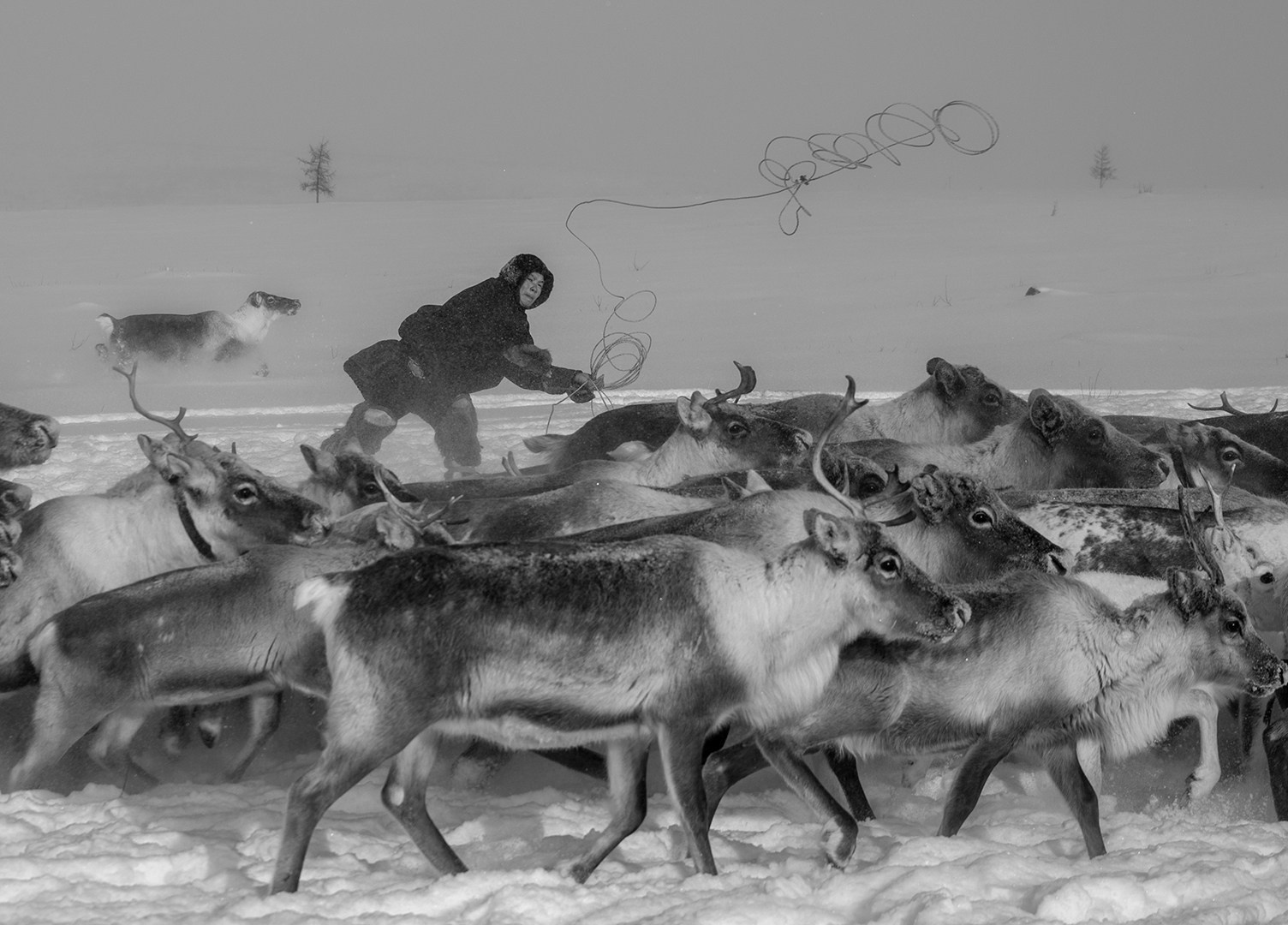 Portfolio Award 2026