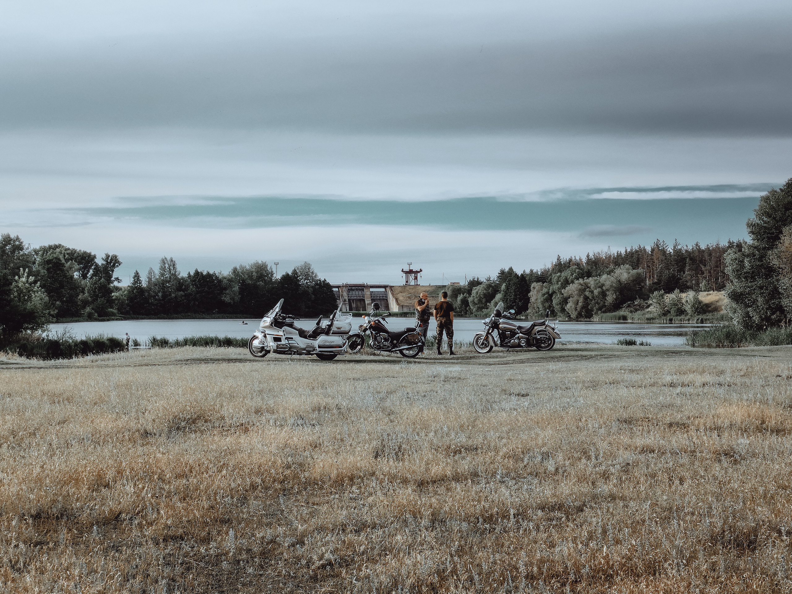 Овцы без электроандроидов. Фотограф Старый Оскол Мавлыга Мария