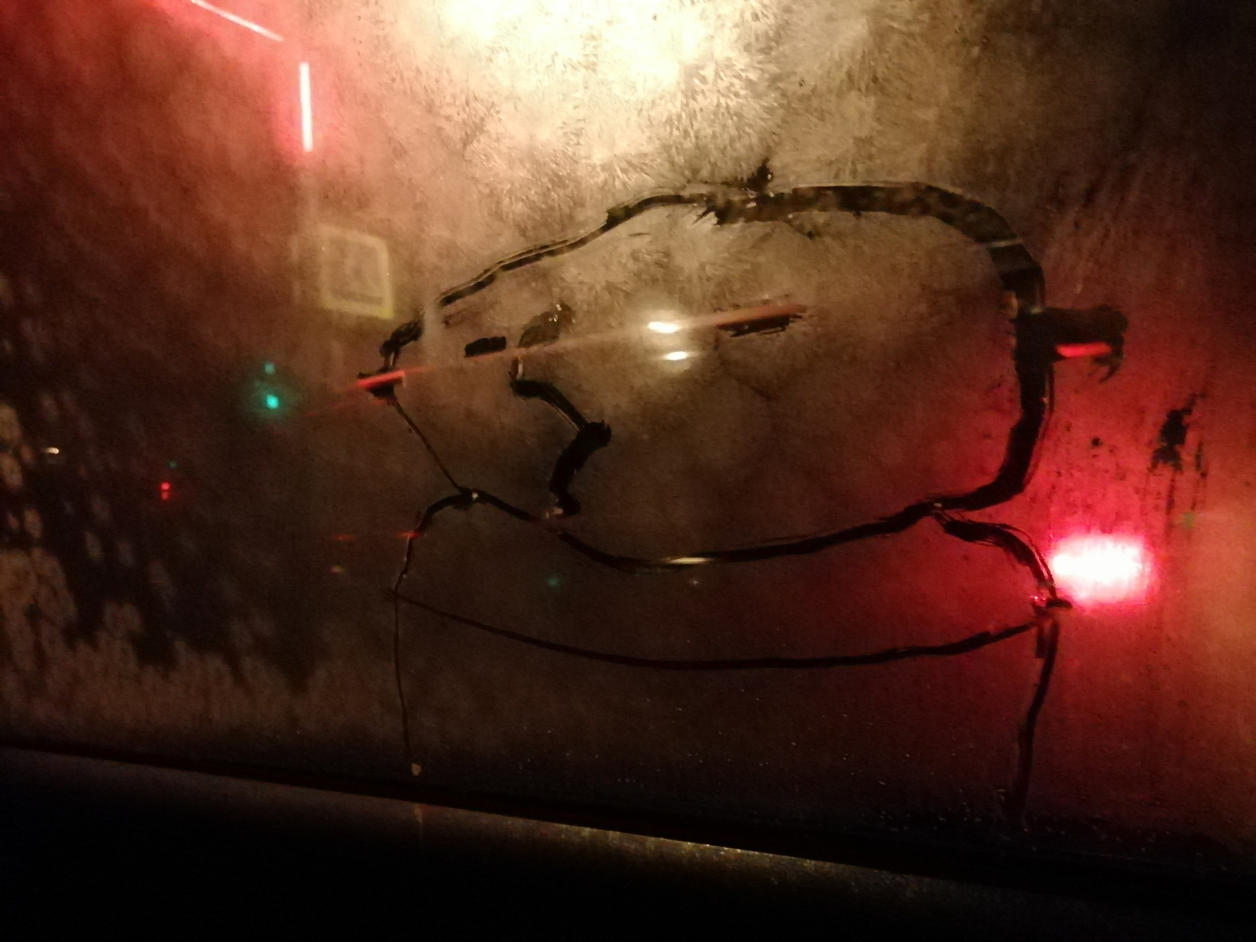 Рисункинаокнахавтобуса. Художник Рыбак Николай