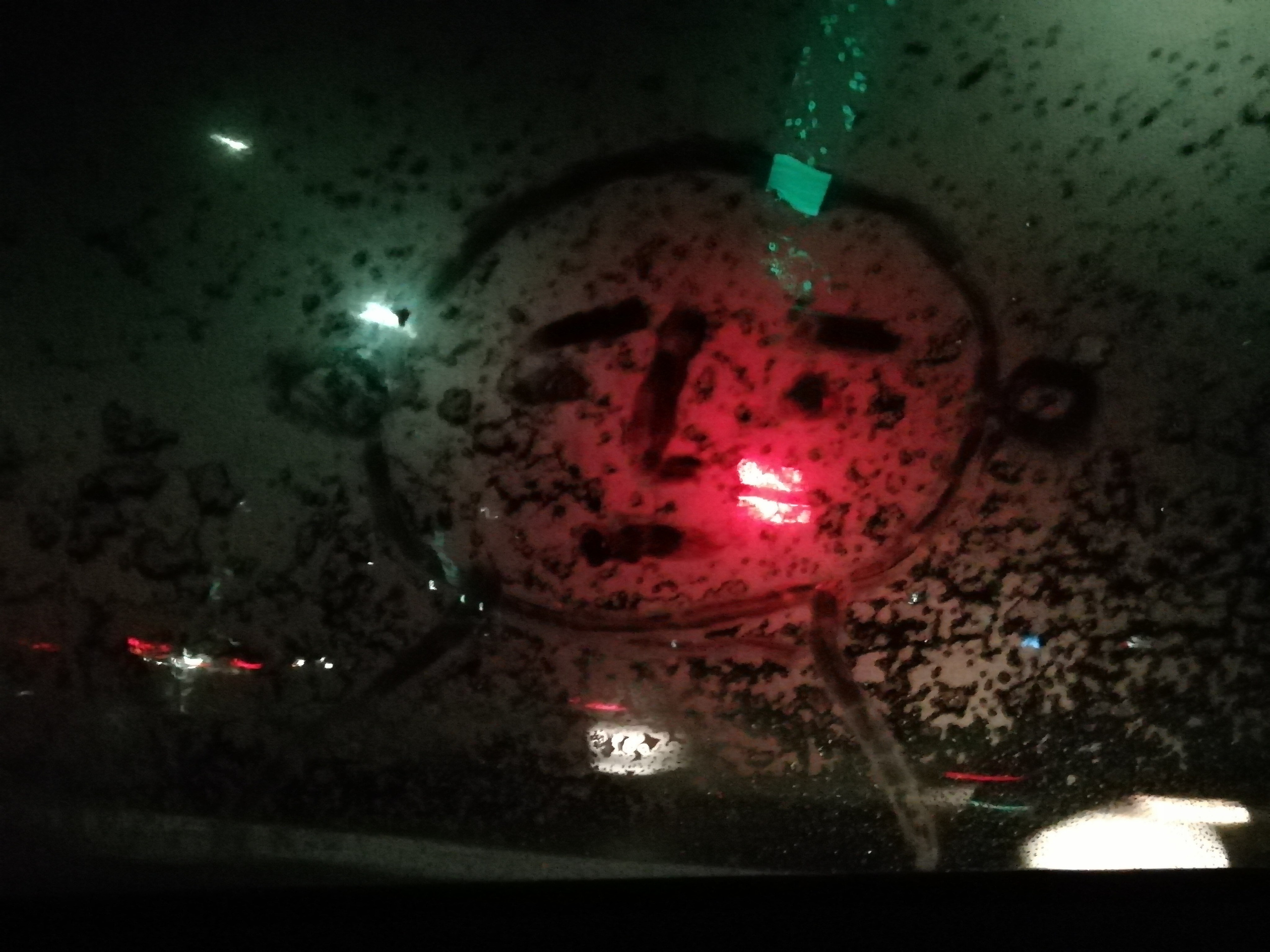 Рисункинаокнахавтобуса. Художник Рыбак Николай