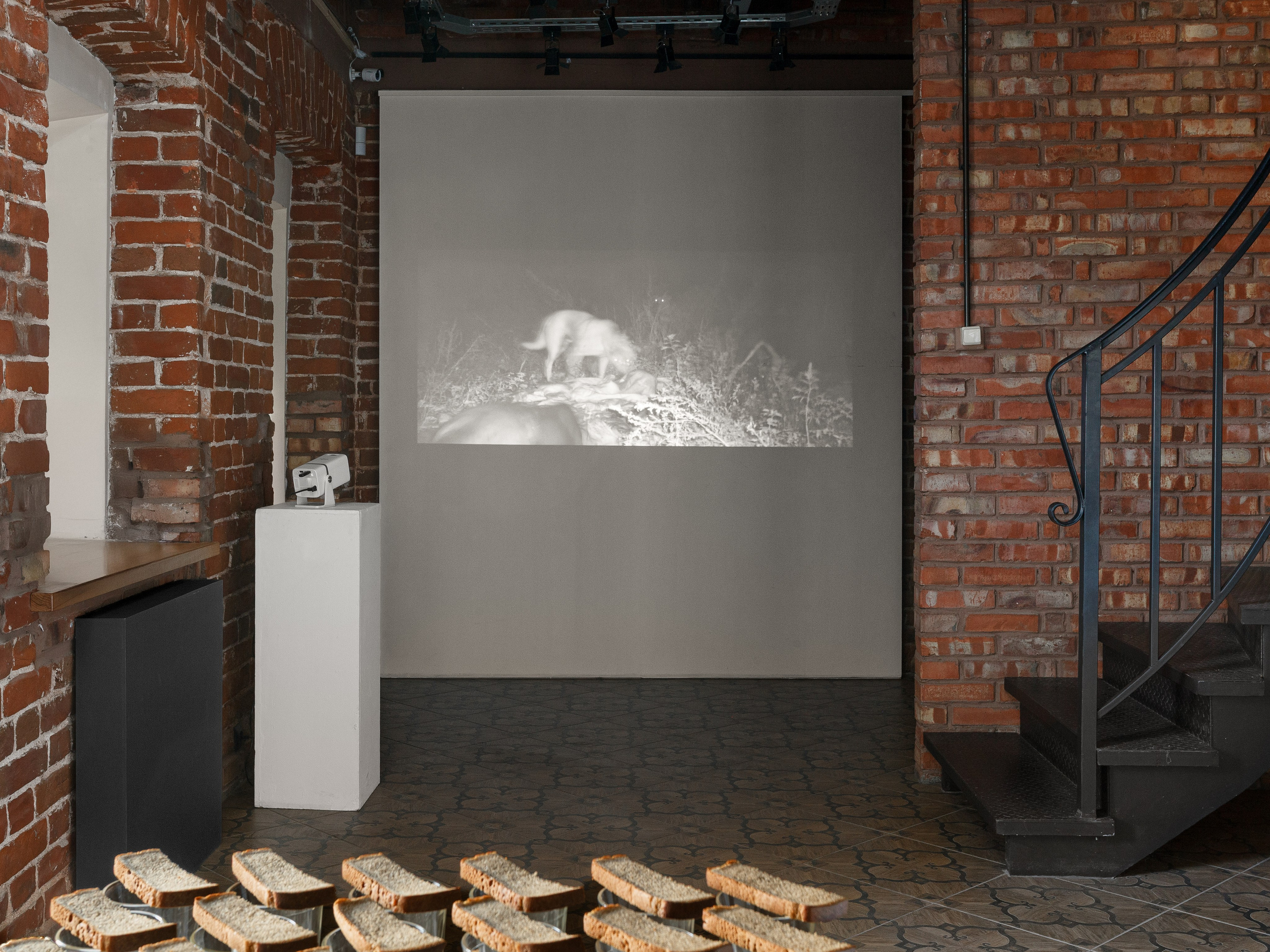 ALL DOGS GO TO HEAVEN. Dima Ptitsyn