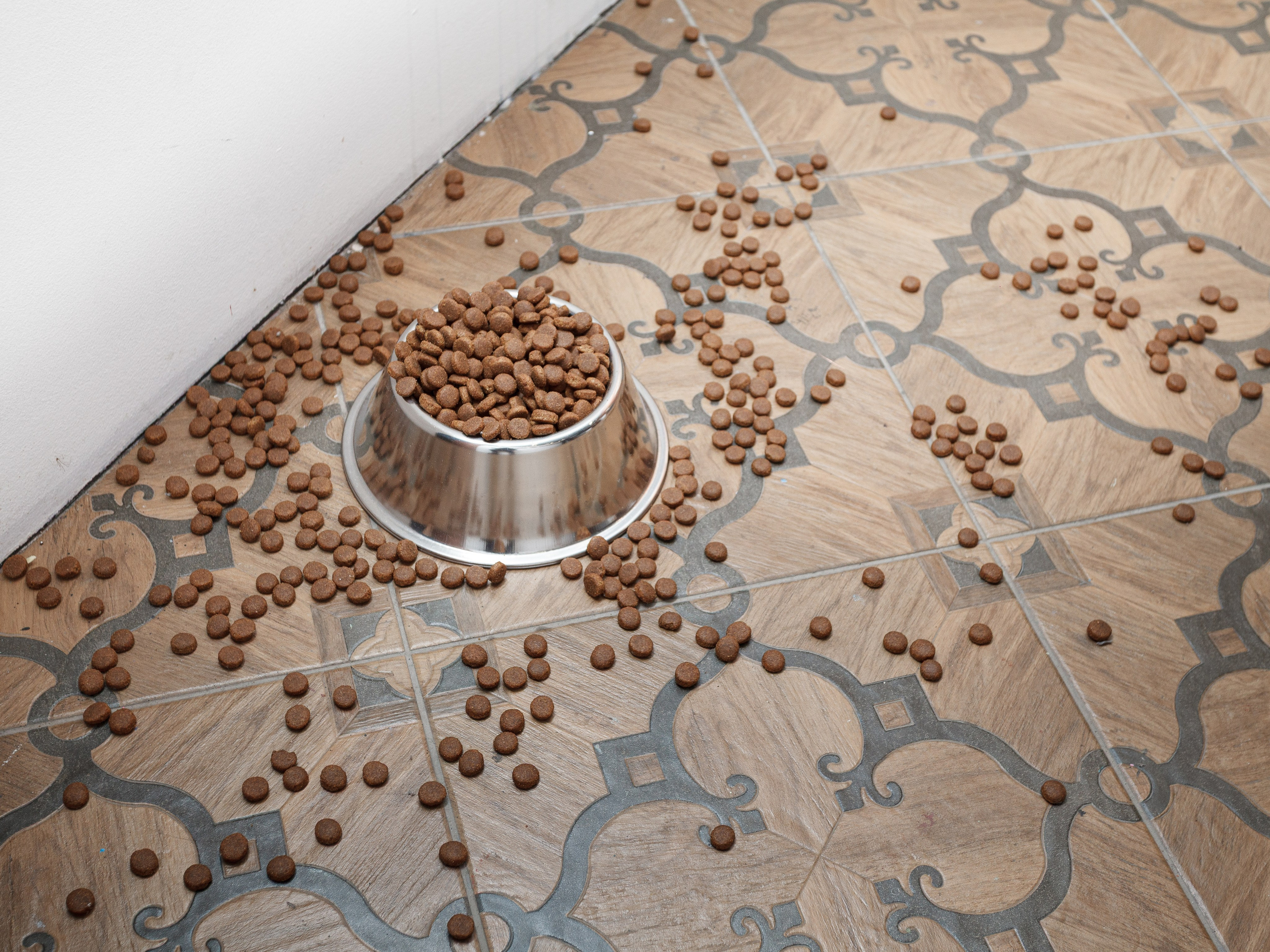 ALL DOGS GO TO HEAVEN. Dima Ptitsyn