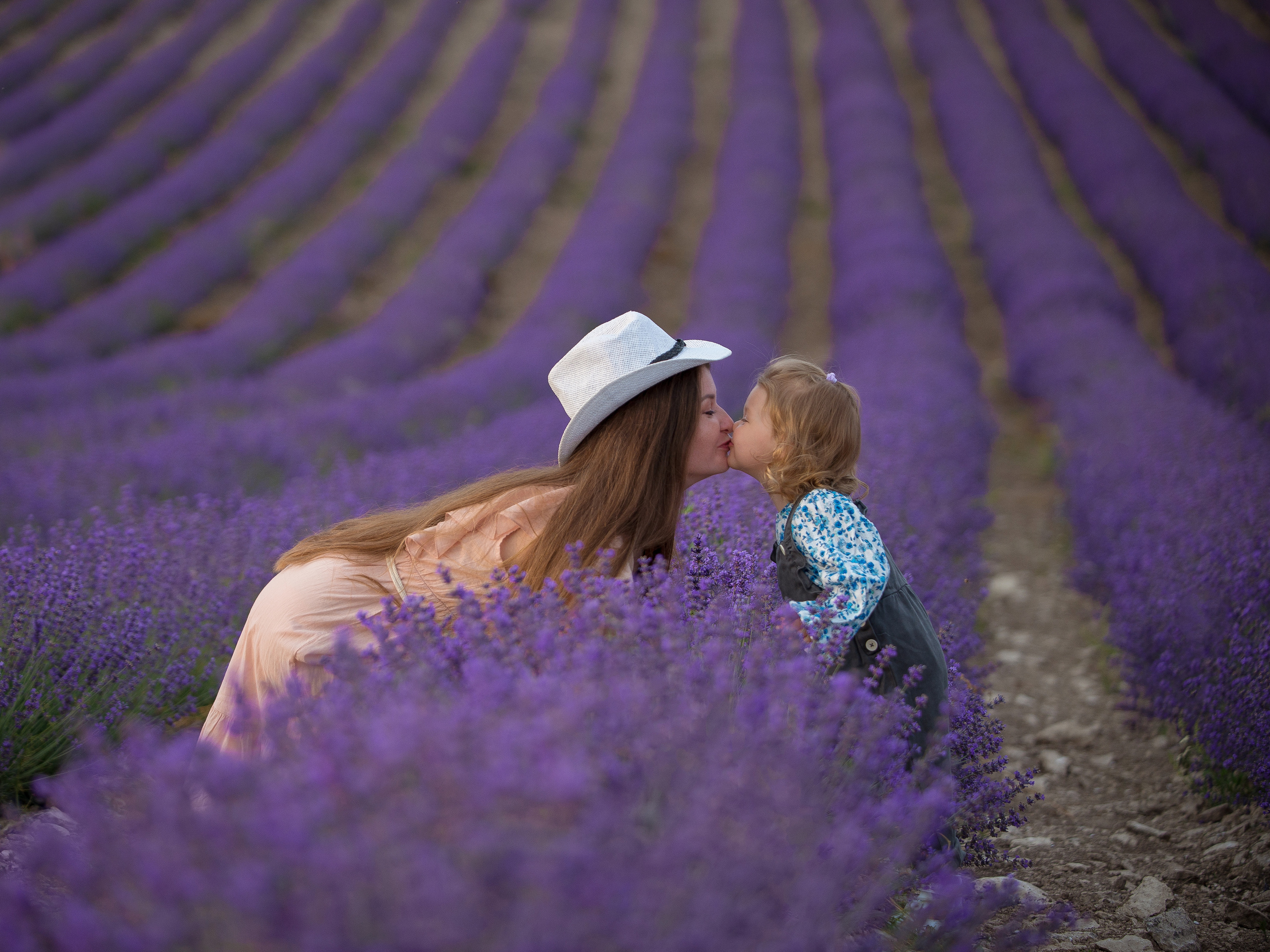 Бесконечные ряды цветущей лаванды в Тургеневке