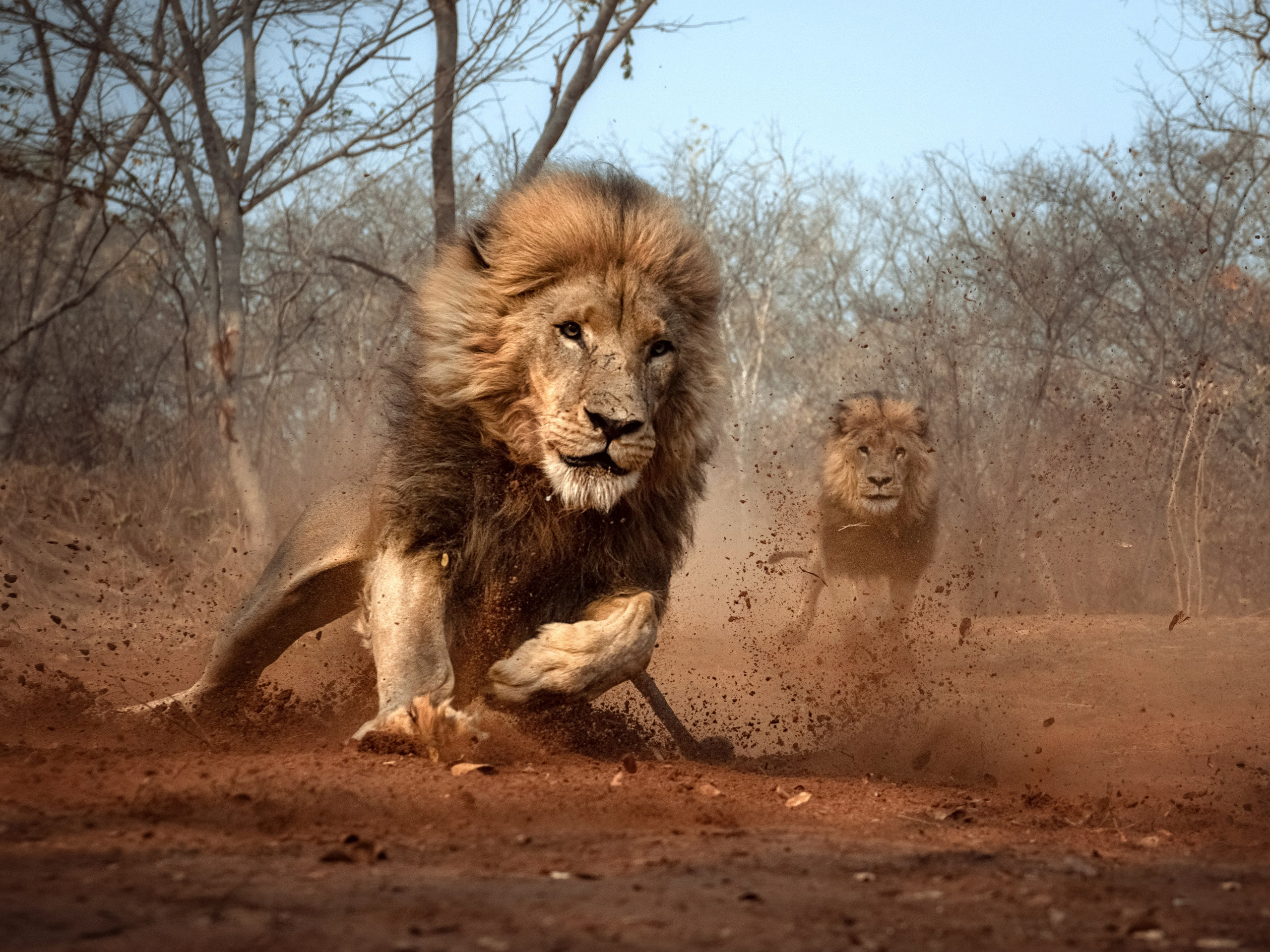 Portfolio Award 2024