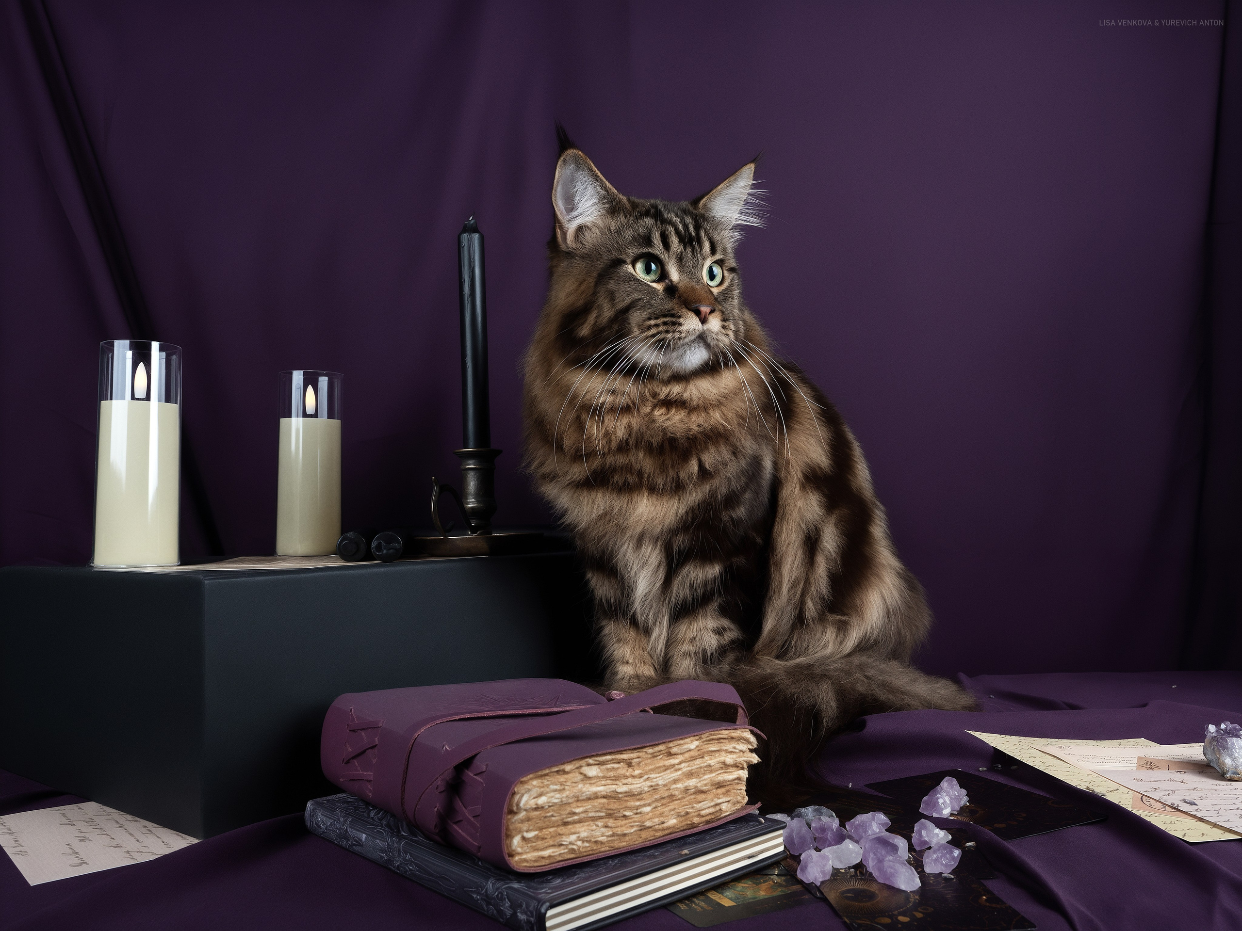 Анималистика. Сайт портфолио двух профессиональных фотографов