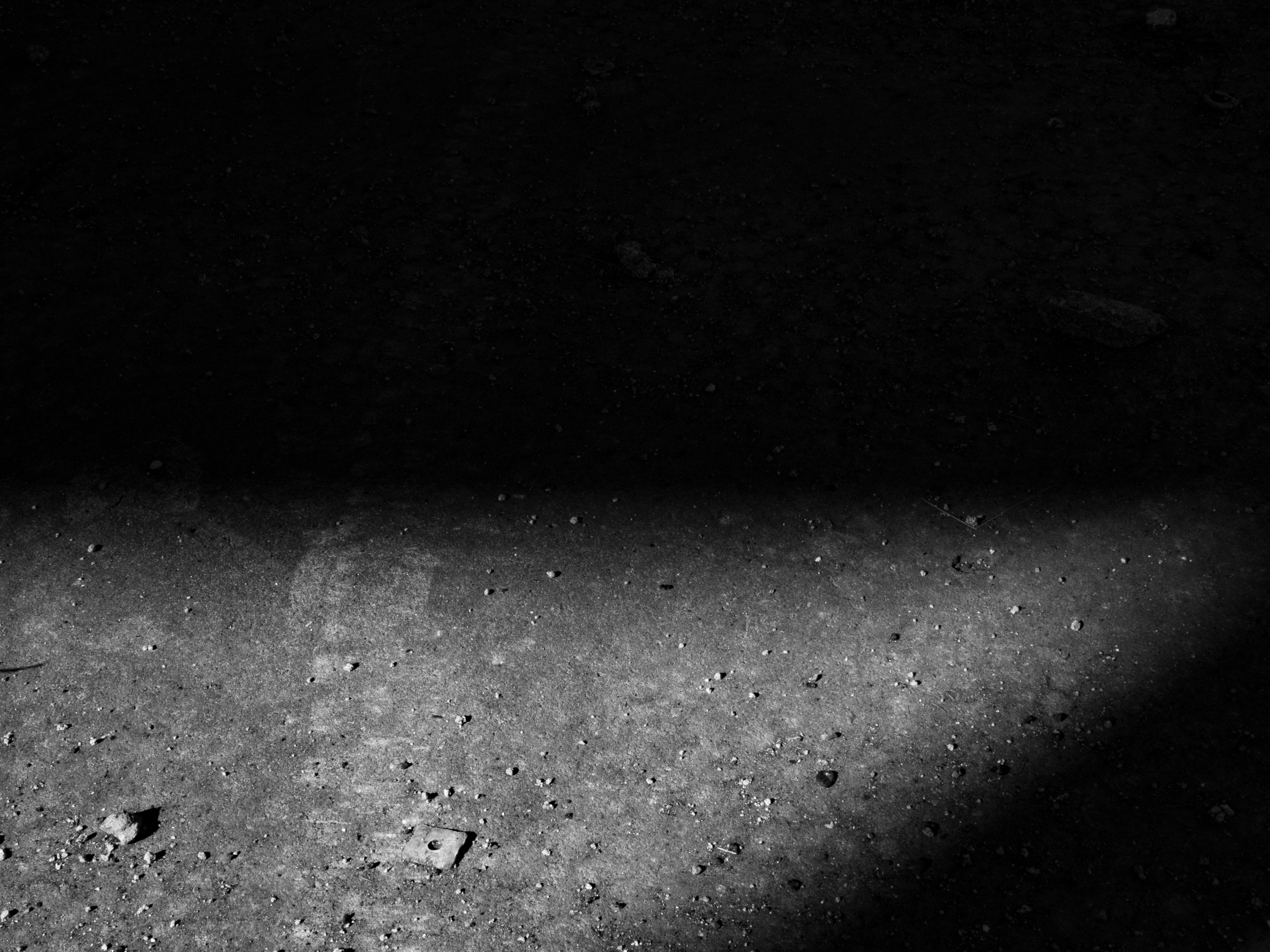 Кураторский проект «Инородное тело»