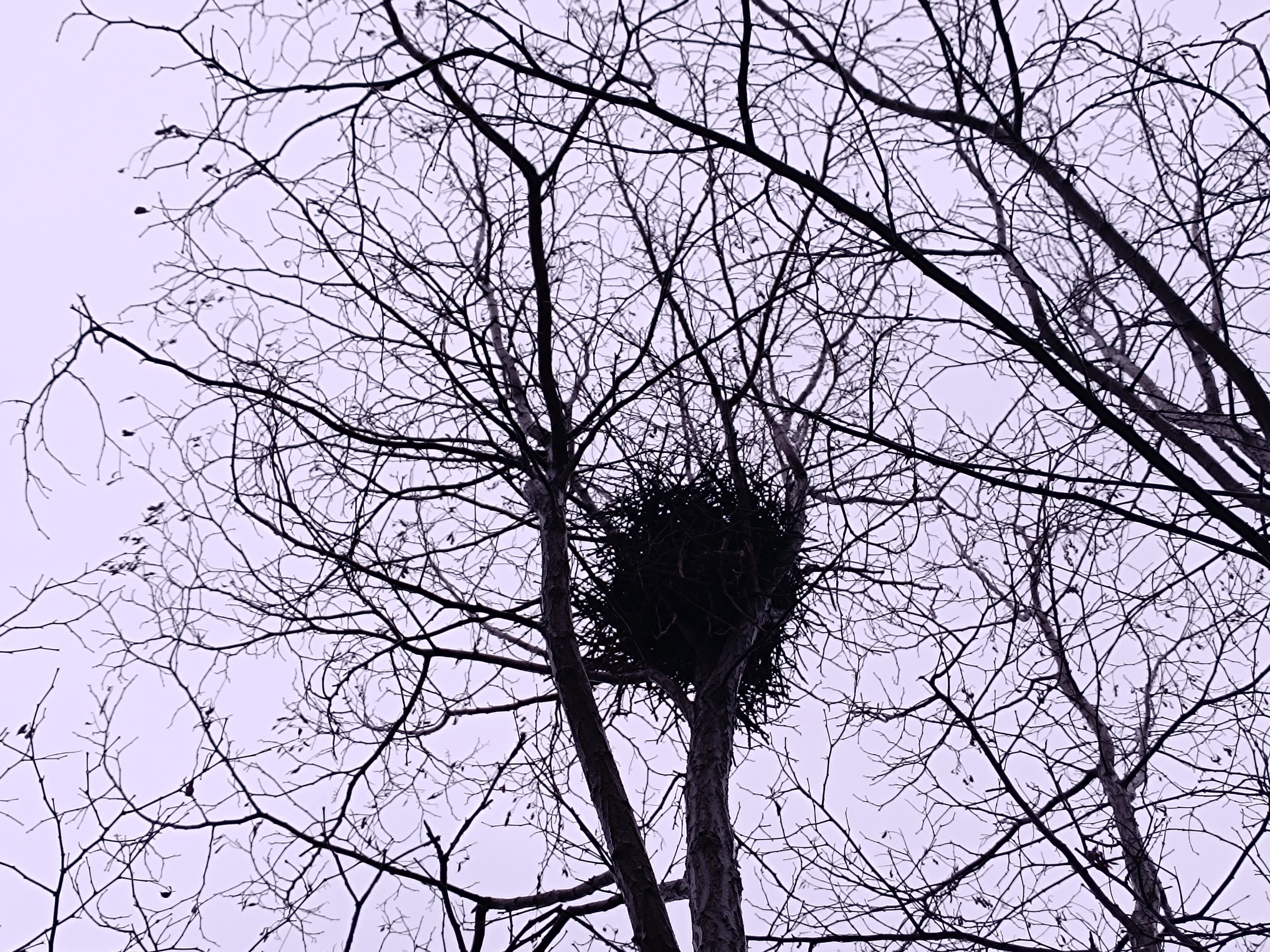 Читальный зал. Марина Рыбкина — Глубинная психология