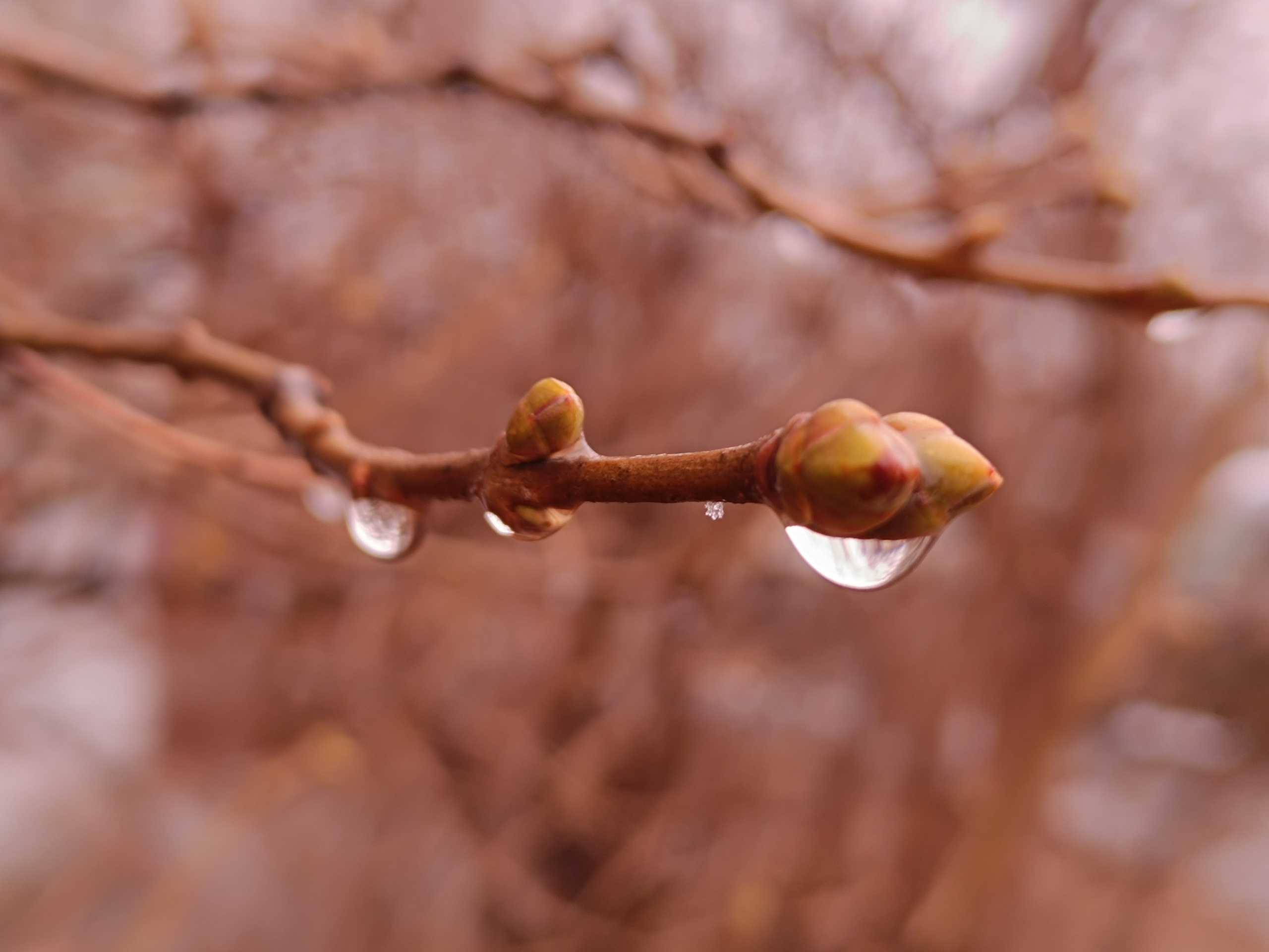 Читальный зал. Марина Рыбкина — Глубинная психология