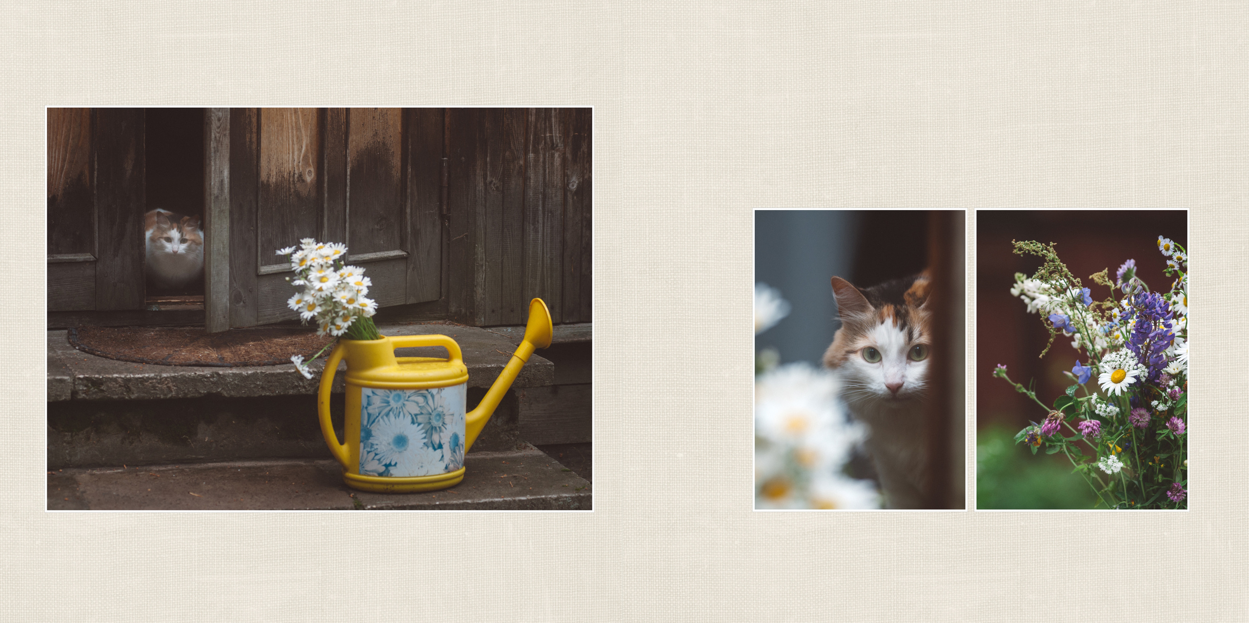 Портретная фотосессия на восемнадцатилетие. Семейный фотограф в Москве Елена Снегирева