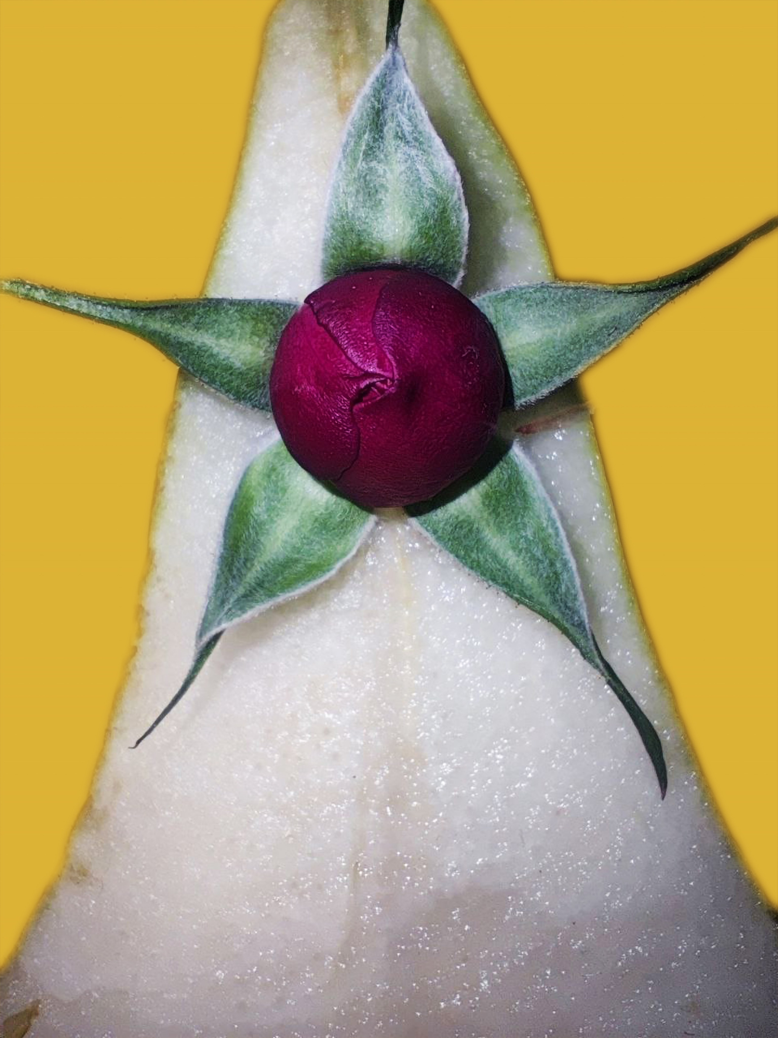 фотограф, фотография, фото проект. женщина, женская физиология, сексуальность, эмоции, секс, искусство, современное искусство, поп арт, фотопроект, фуд съемка, художественая съемка, галлерея, художник, предметная съемка, феминизм, выставка, выставка фотографии, цвет, обложка для книги, обложка для песни, обложкадля музыкального альбома, лучший фотограф России, best of photographers, gallery, photo, art, pop art, photography, women, woman, art photo, contemporary art, world of art, 照片,艺术, 中国