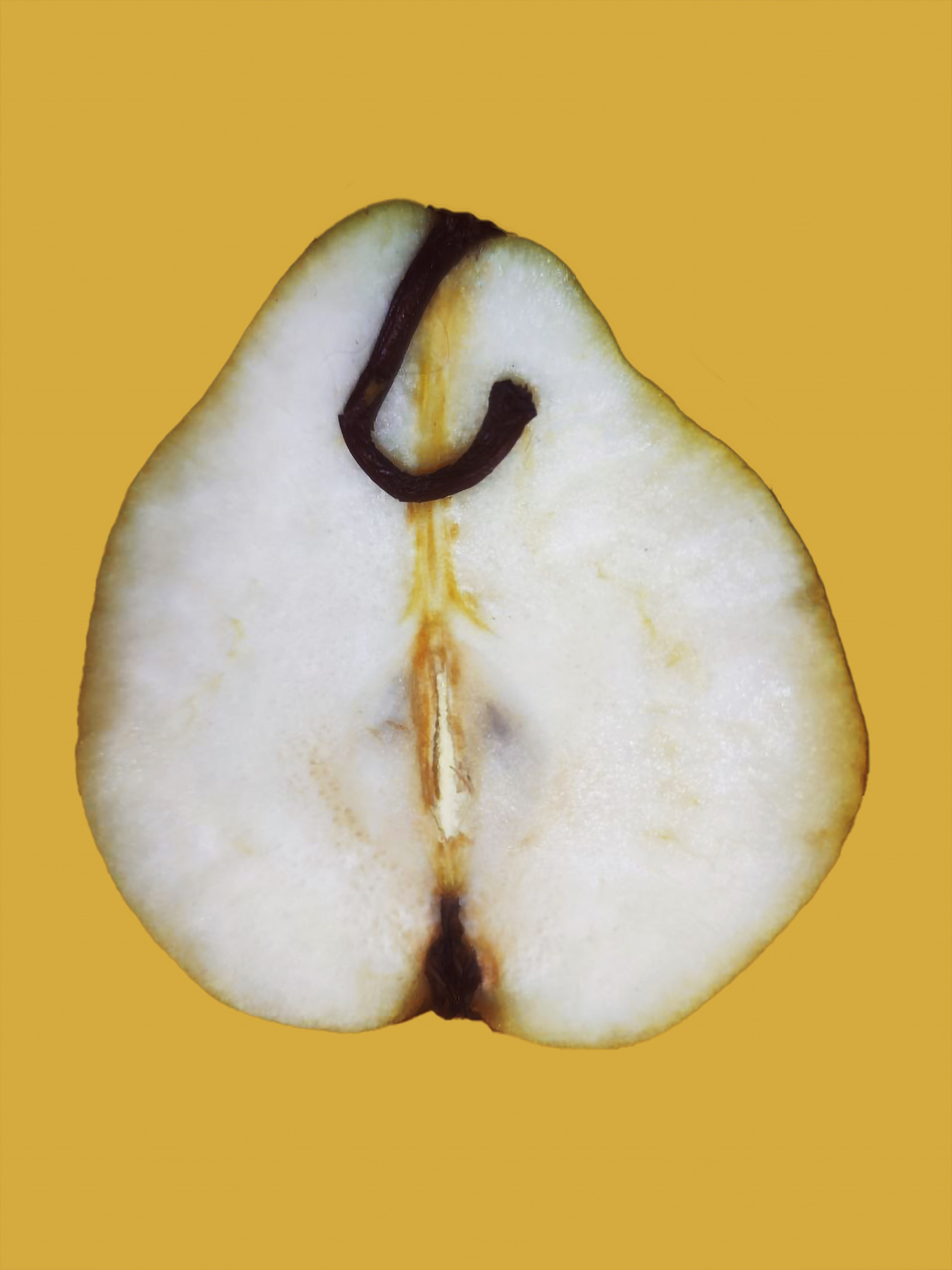 фотограф, фотография, фото проект. женщина, женская физиология, сексуальность, эмоции, секс, искусство, современное искусство, поп арт, фотопроект, фуд съемка, художественая съемка, галлерея, художник, предметная съемка, феминизм, выставка, выставка фотографии, цвет, обложка для книги, обложка для песни, обложкадля музыкального альбома, лучший фотограф России, best of photographers, gallery, photo, art, pop art, photography, women, woman, art photo, contemporary art, world of art, 照片,艺术, 中国