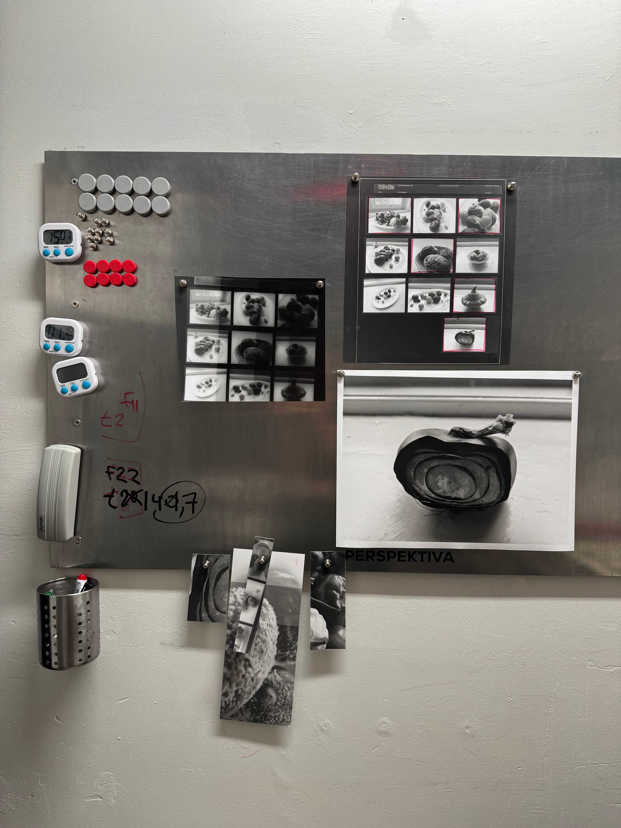 PRINTS. Daria Blinova