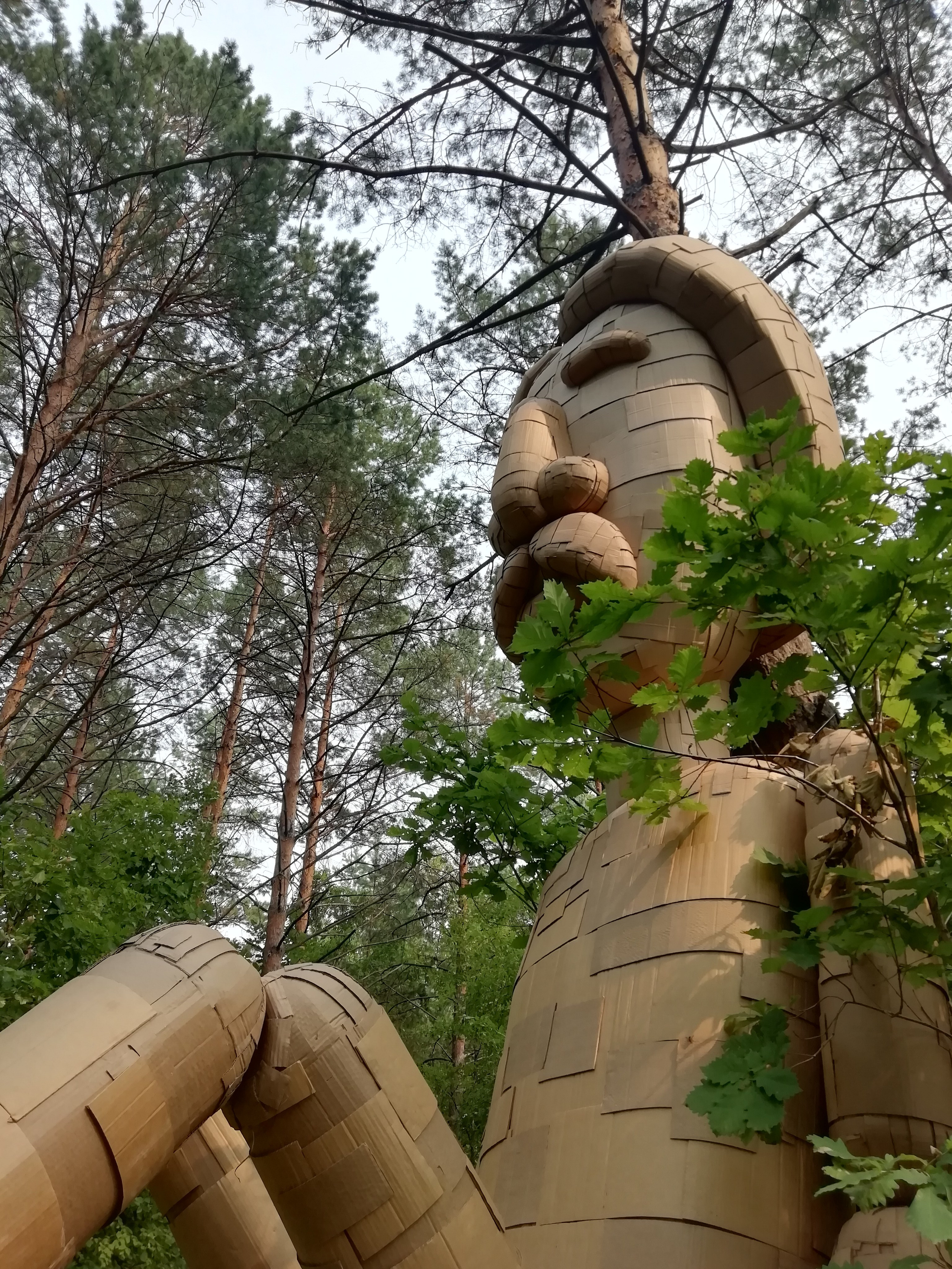 Осознанный землянин. Художник Рыбак Николай