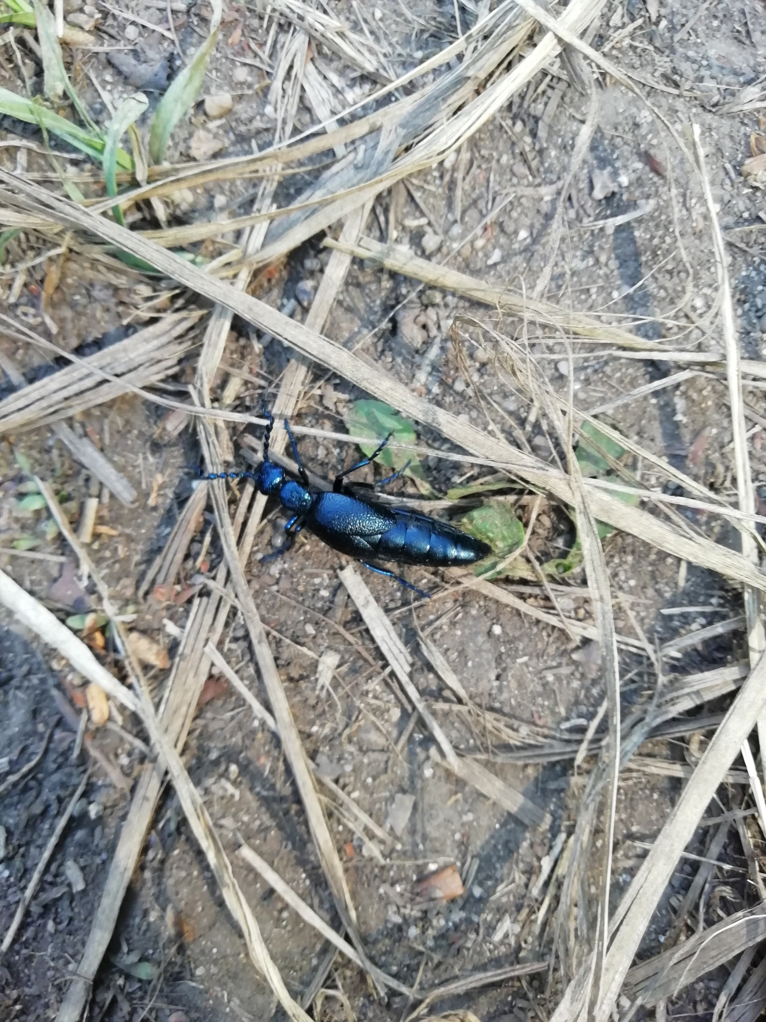 Локация № 1. Художник Рыбак Николай