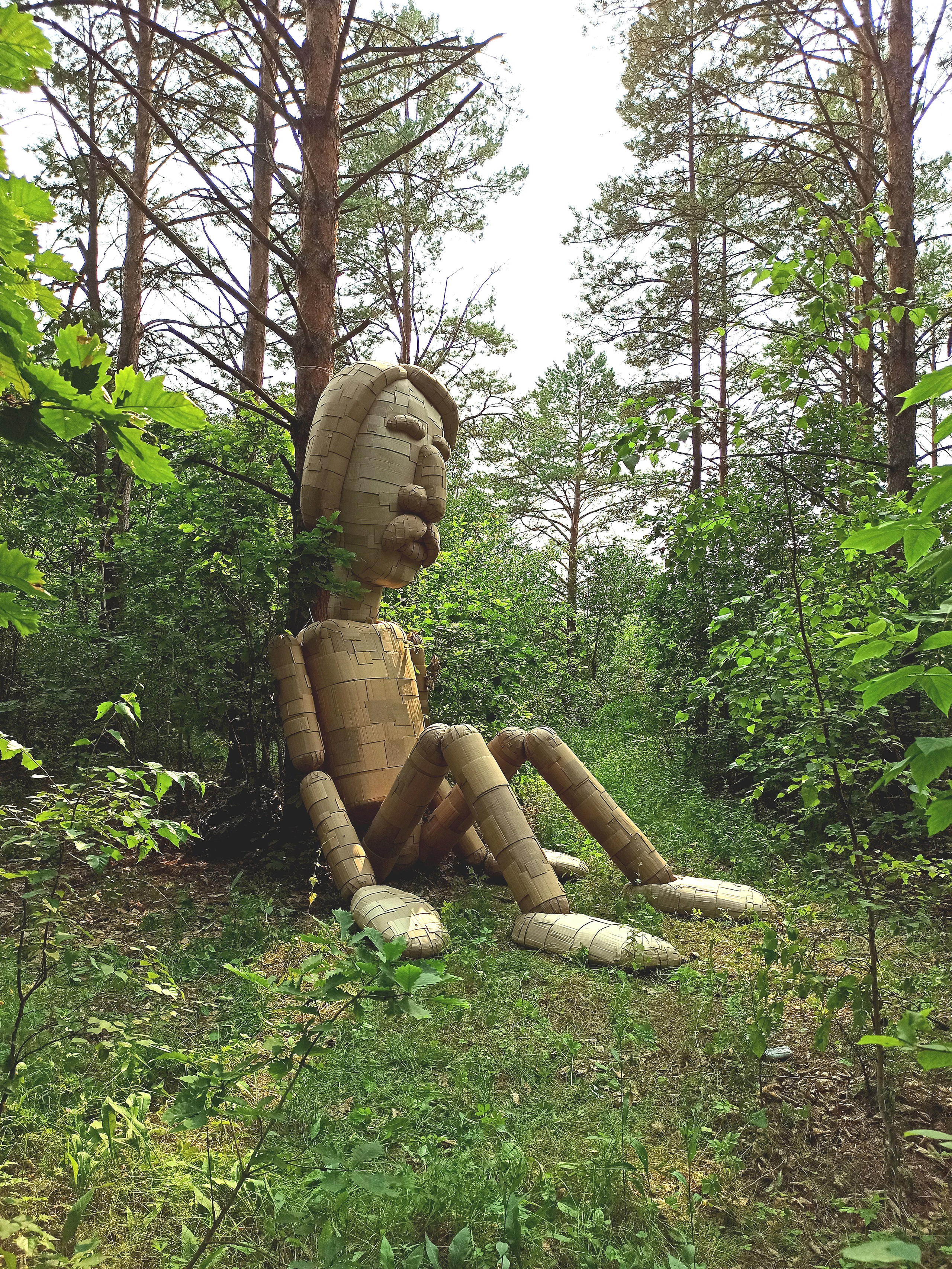 Осознанный землянин. Художник Рыбак Николай