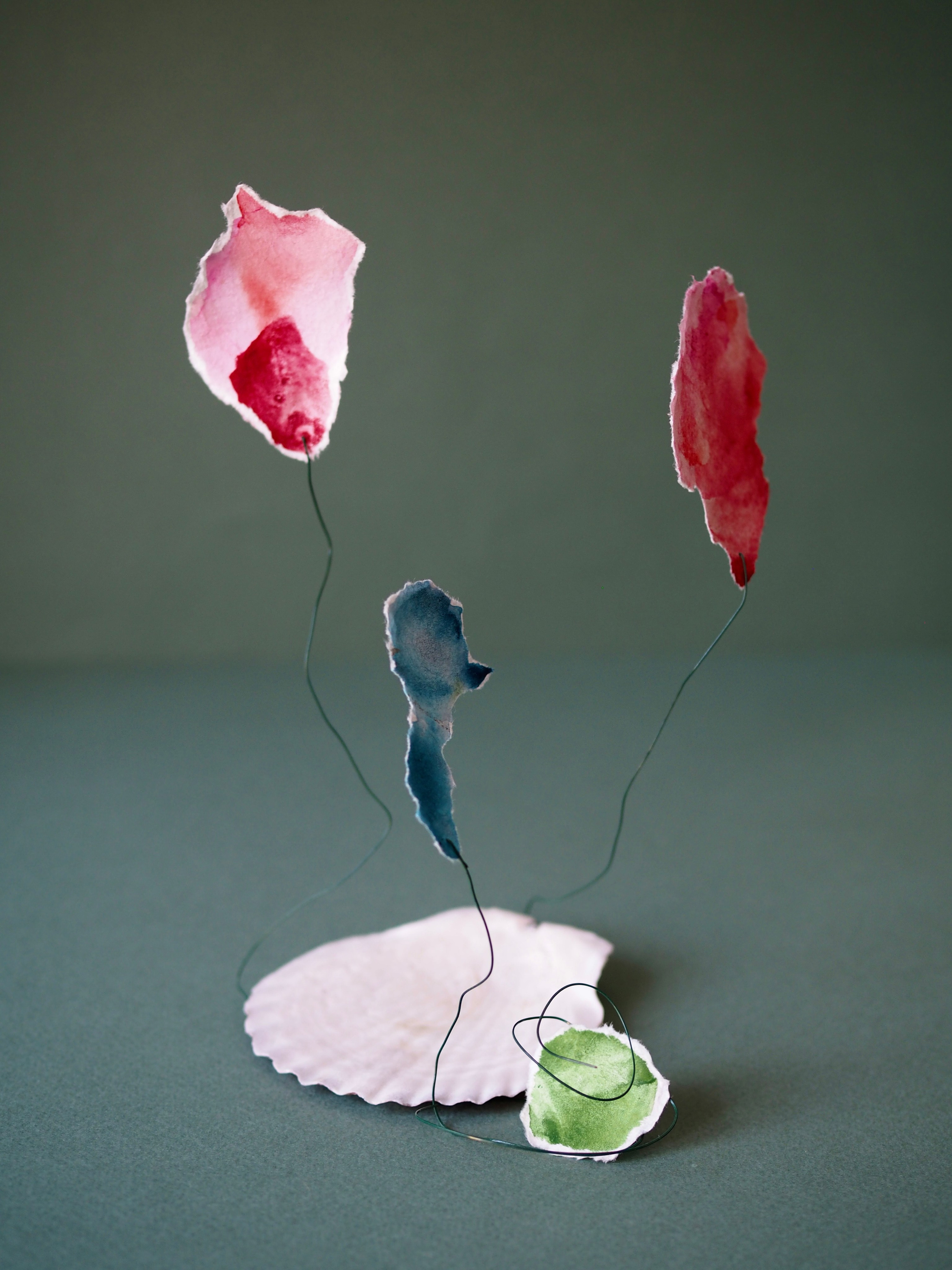 Still life photography. Visual artist Irina Heinz