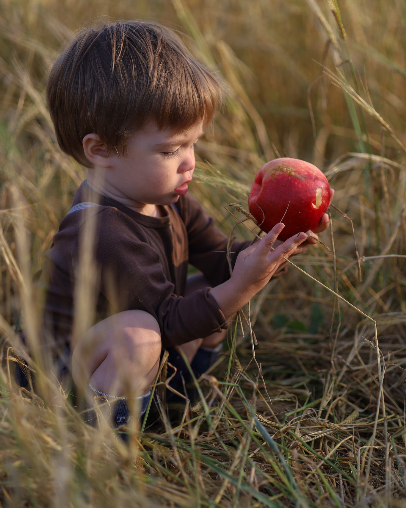 Услуги. Семейный и детский фотограф Рядчикова Екатерина Москва