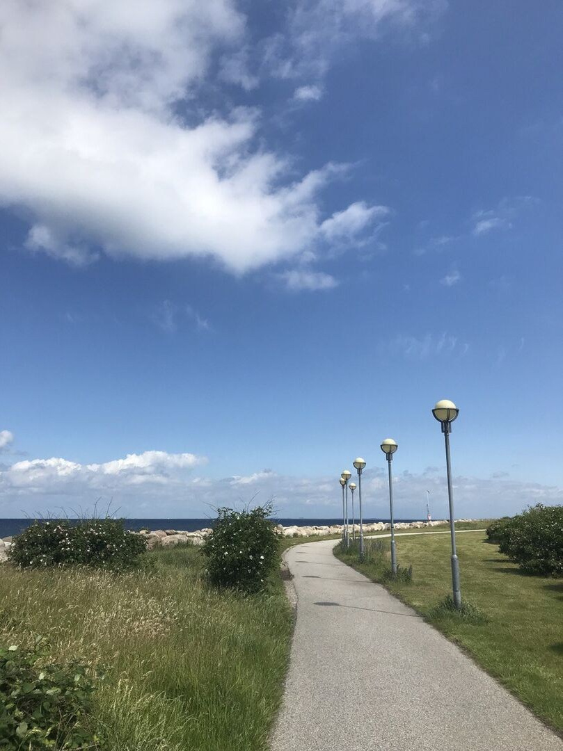 Лучший фотограф Санкт-Петербурга. Детский и семейный фотограф Муксимова Ирина
