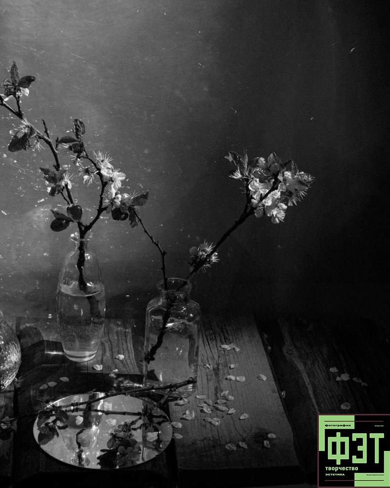 ФЭТ: Фотография Эстетика Творчество. 26.10.2025. Наталья Жукова. Курсы фотографии