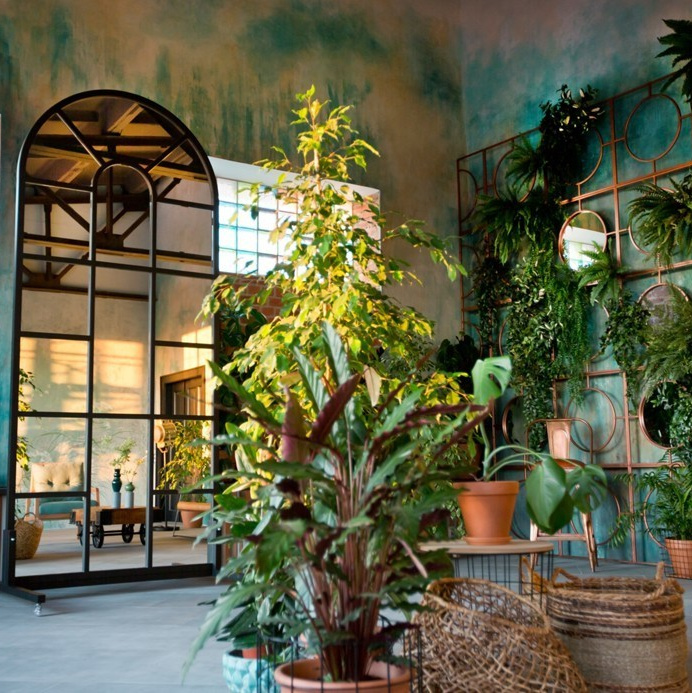 Студии. Катерина Растокина фотограф в Санкт-Петербурге