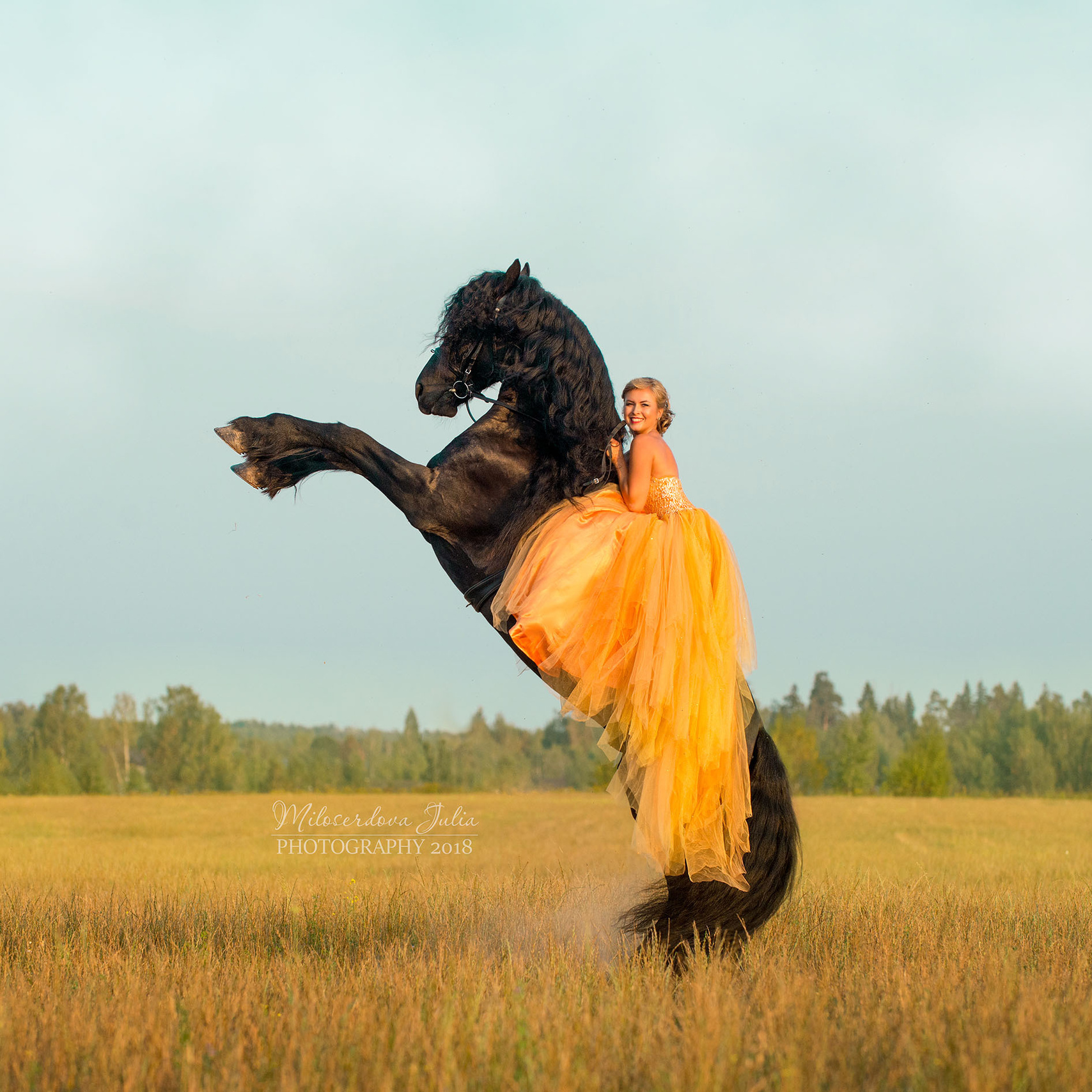Фотосъёмки с лошадьми. Фотограф Юлия Милосердова