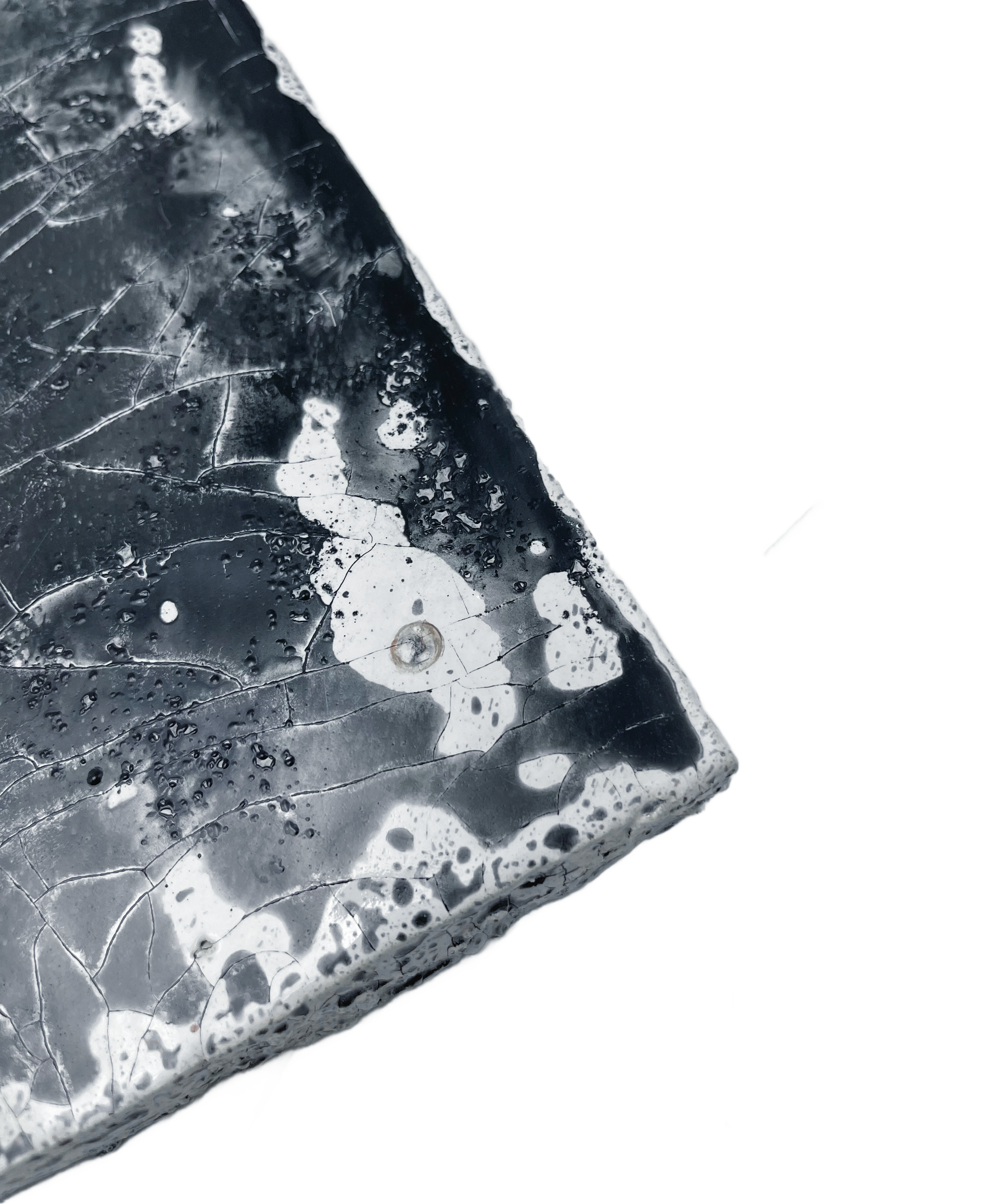 Художник Алина Репкина