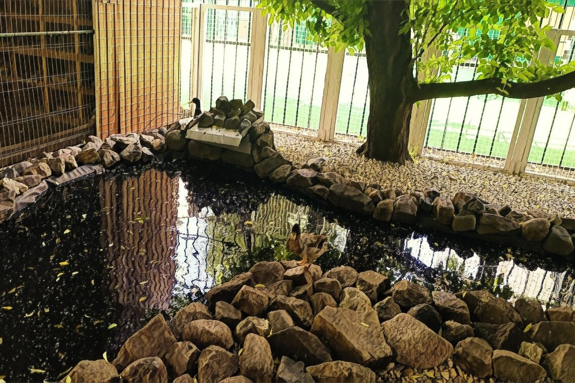 Секретные дворики Москвы. Фото Радости. Свадебный и семейный фотограф в Москве Юлия Самойлова