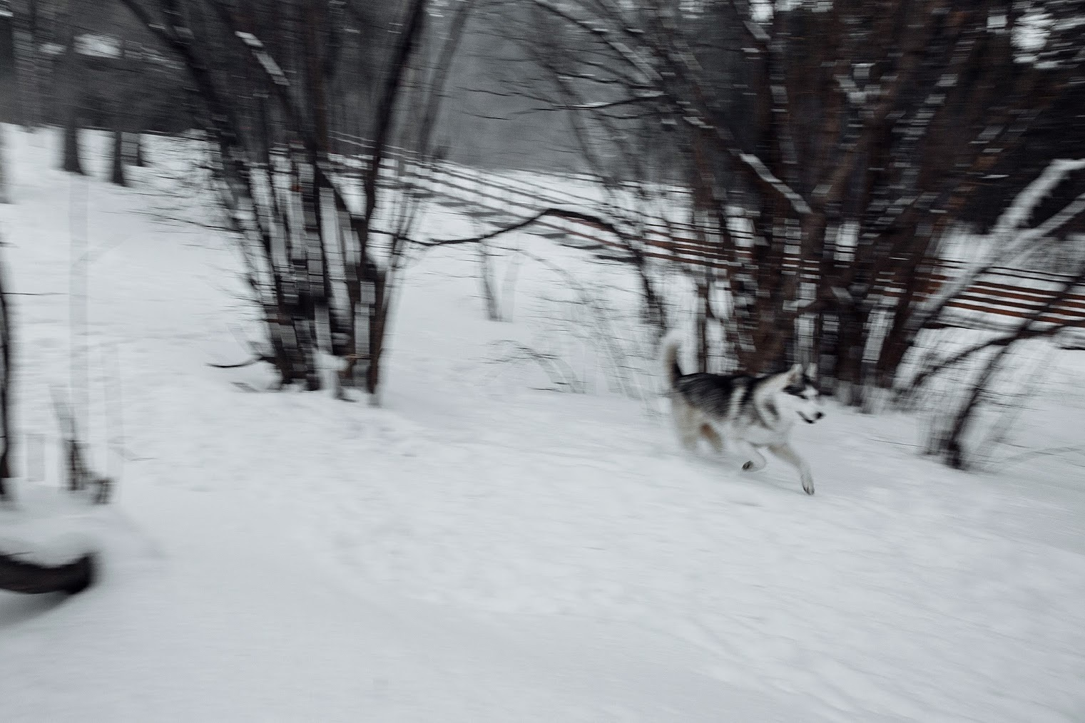 Метаморфозы любви. Inspiration проект. Фотограф Игорь Цаплин