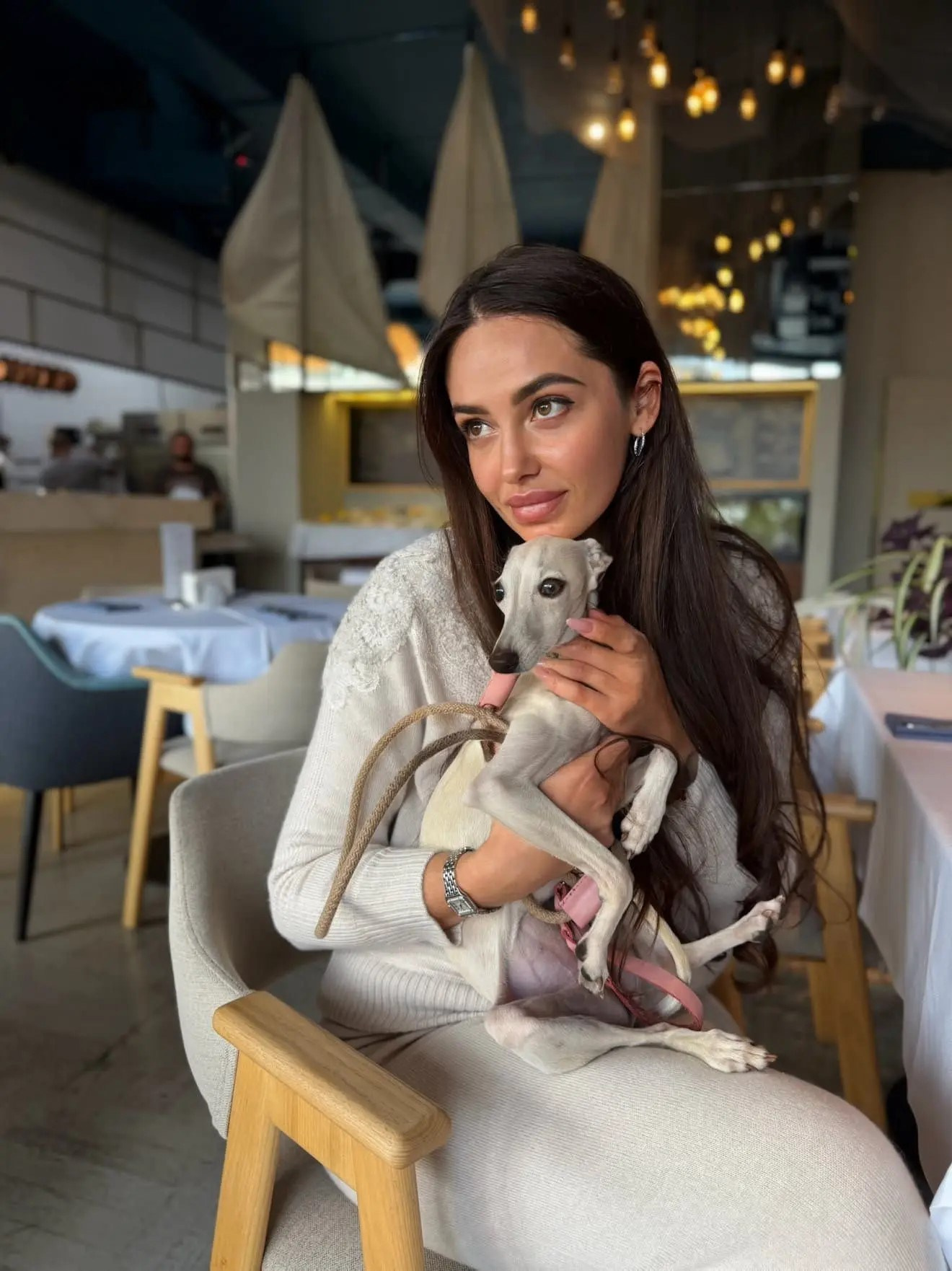 Хотите жемчужного щенка?. Professional Italian Greyhound Kennel RKF/FCI ASTI SAPPHIRE 💎 Sochi|St. Petersburg
