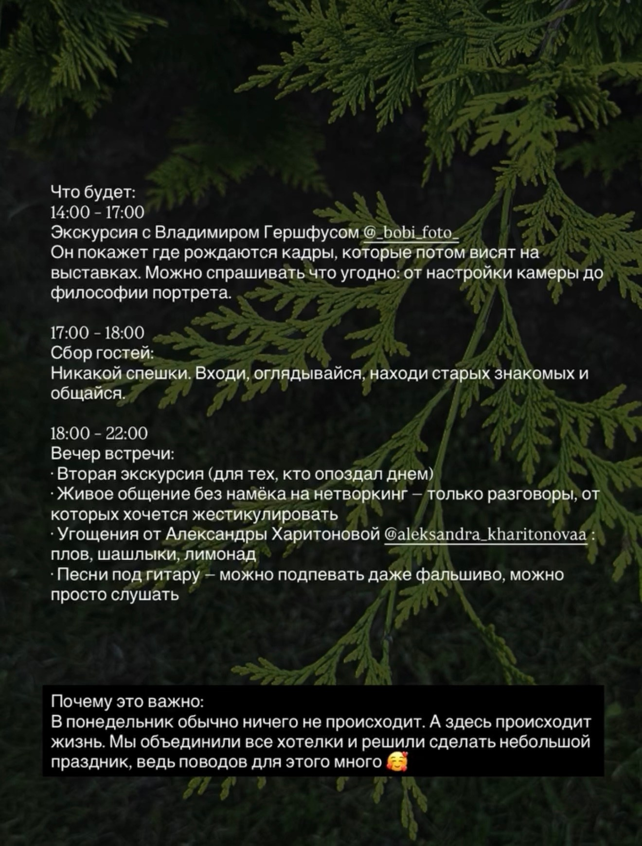 ФОТОКЛУБ. ТИНАОТИМ — комьюнити экспертов Новой Москвы, продюсерский центр, организация мероприятий ТТ