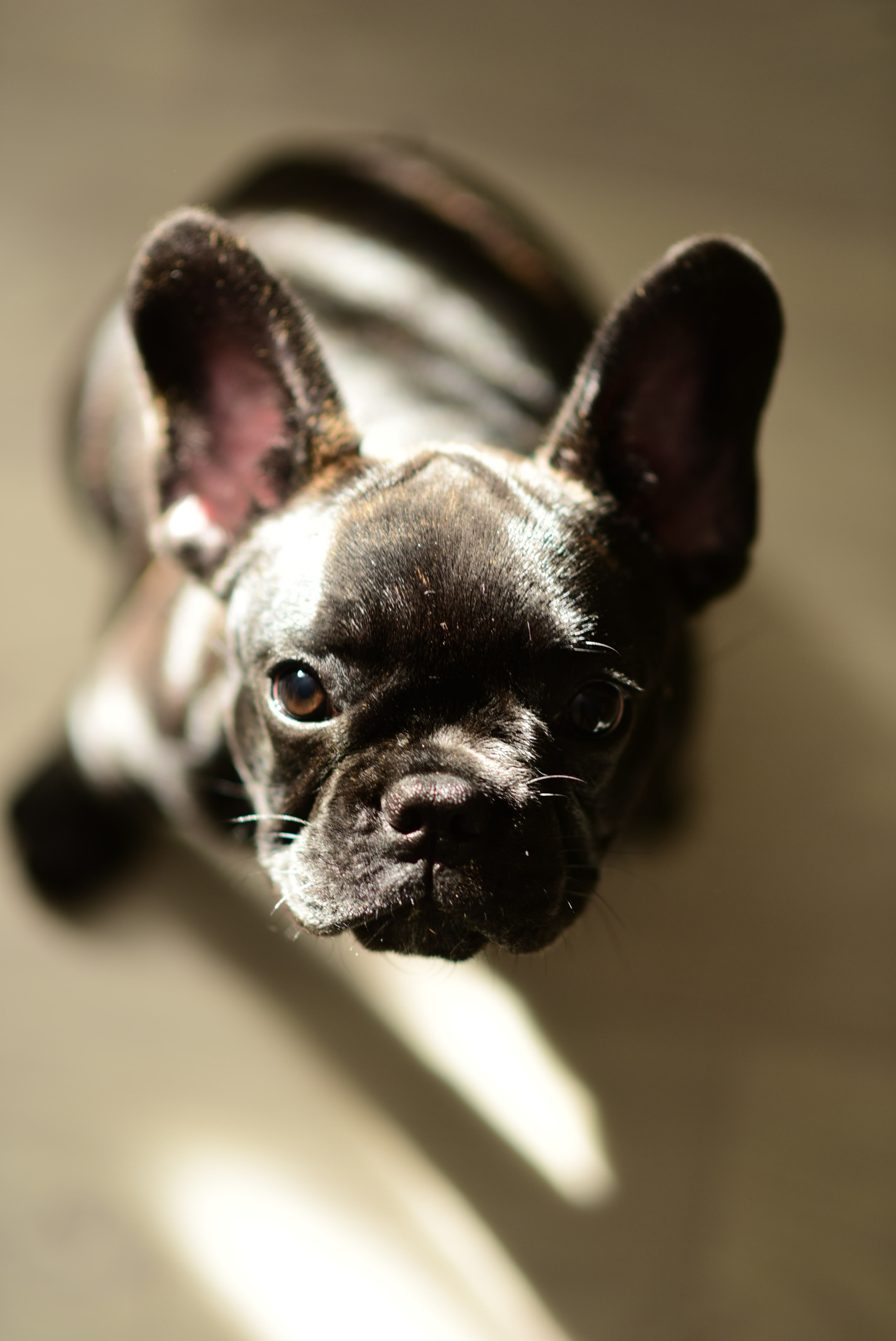 Обо мне. Ваш личный фотограф в Пскове Анаис Рамирез