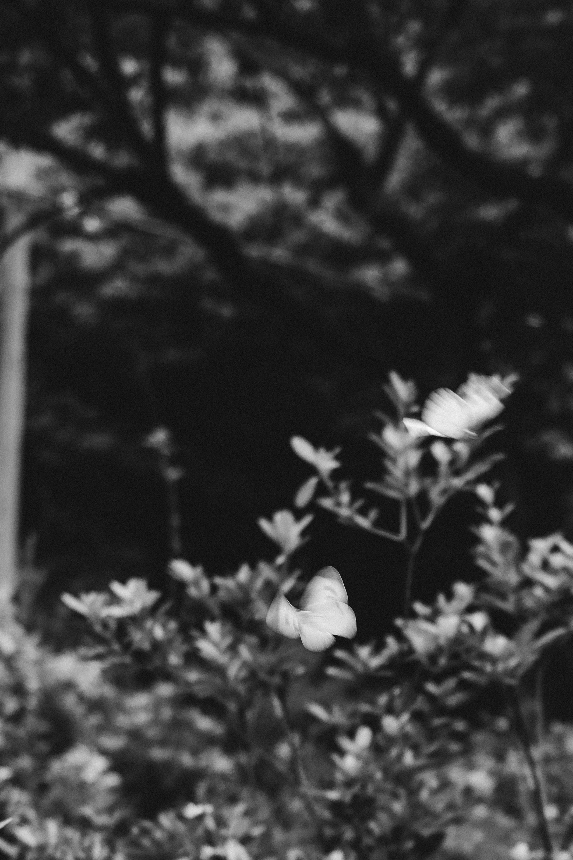 Photografer