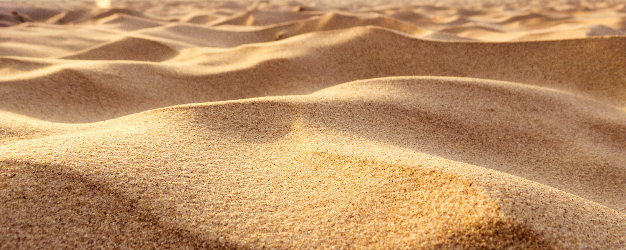 Фотостудии с песком в Санкт-Петербурге