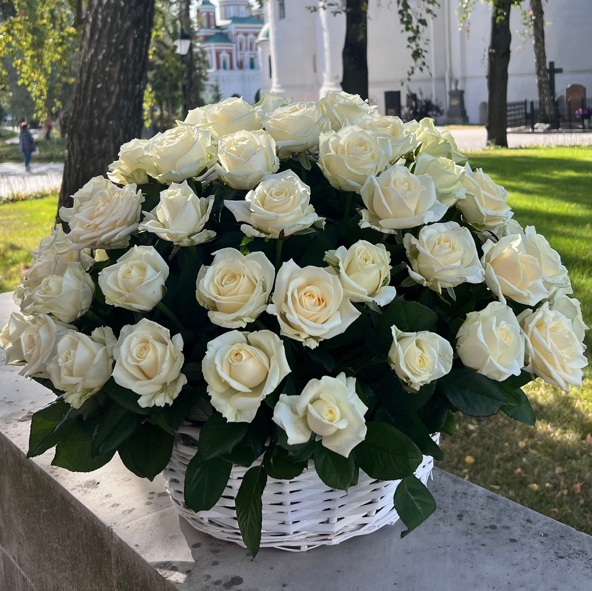 Корзины. Главная