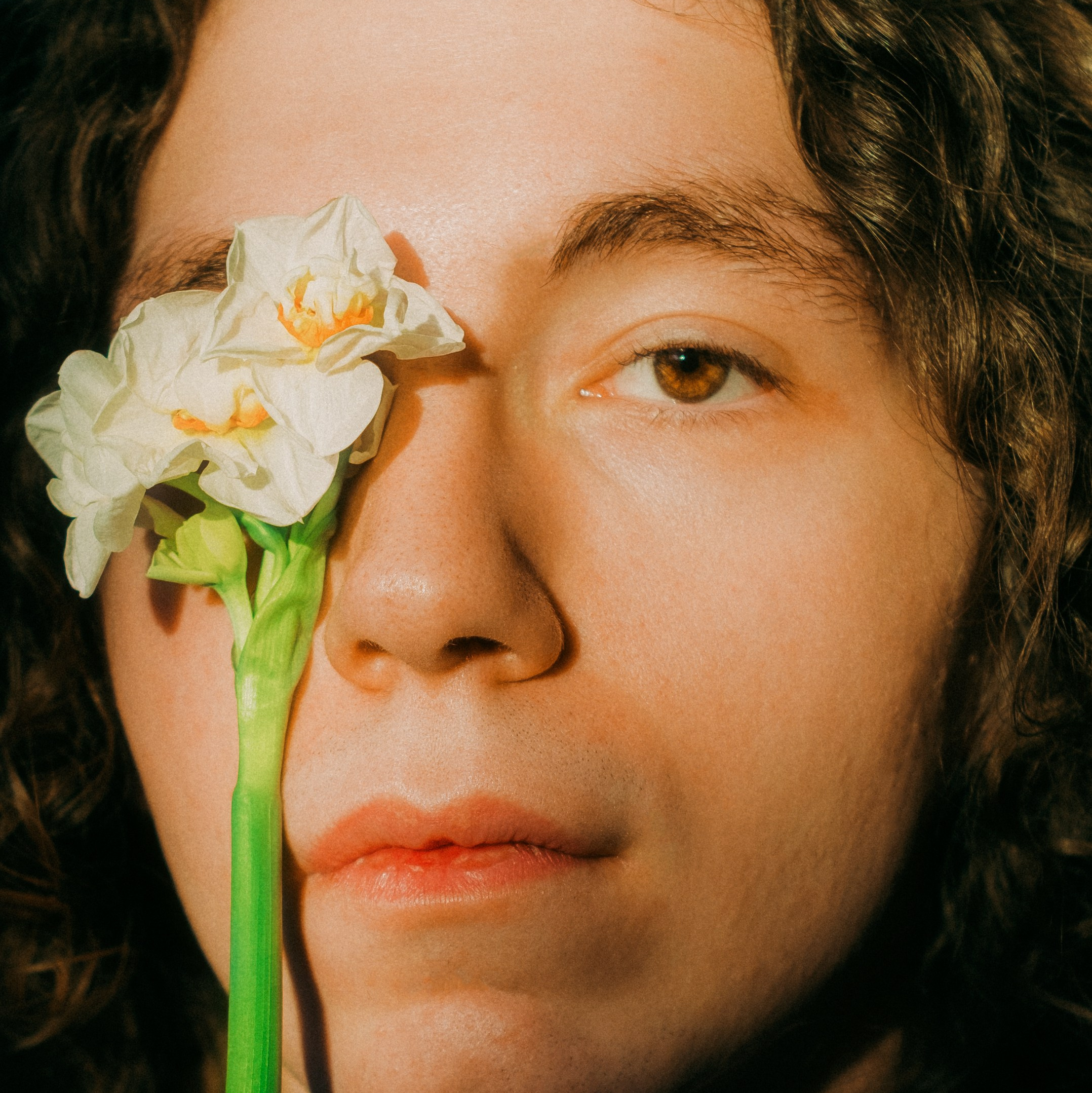 Контакты. Lickord