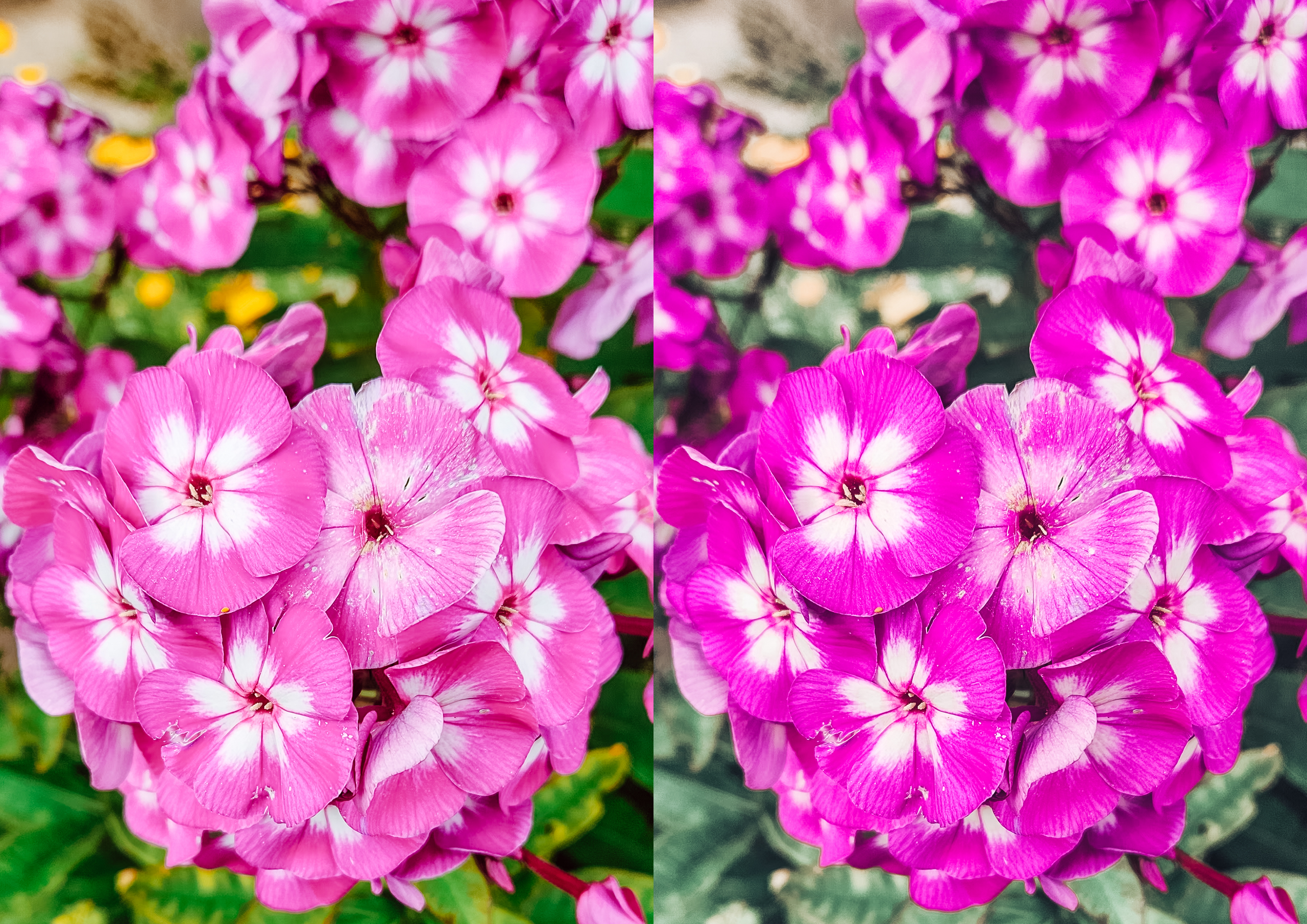 Магазин Пресетов. Семейный, свадебный, репортажный фотограф в Санкт-Петербурге Ярик Арс