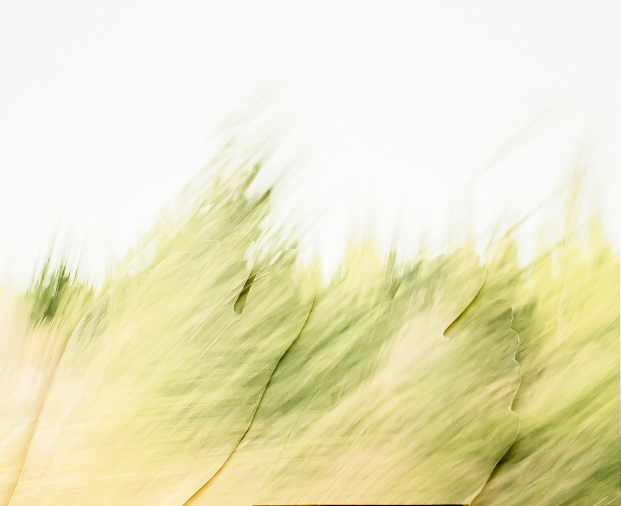 Магазин Поток (1). Mixed-media Artist Irina Sokolova