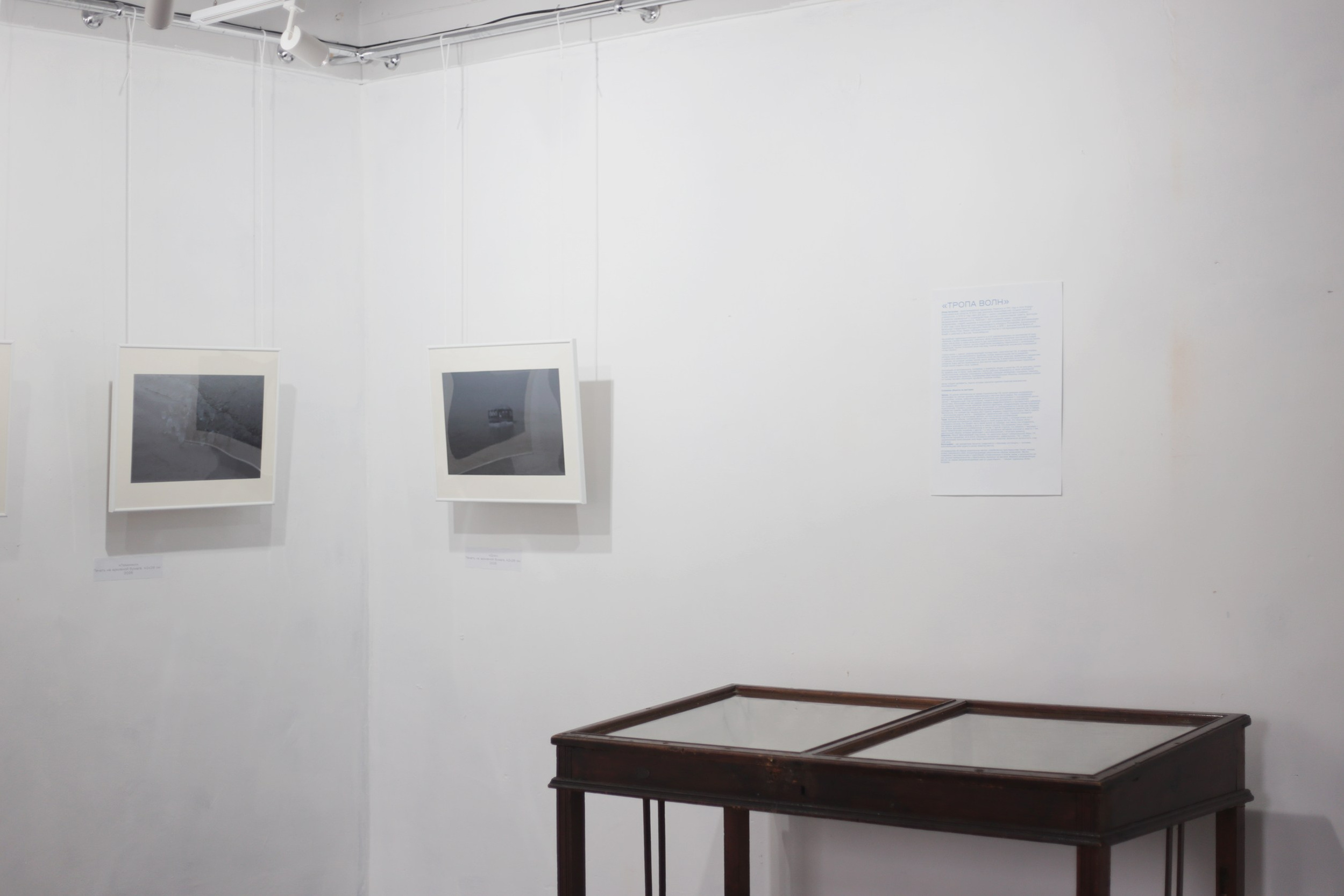 Тропа волн. Julia Altukhova, multimedia artist