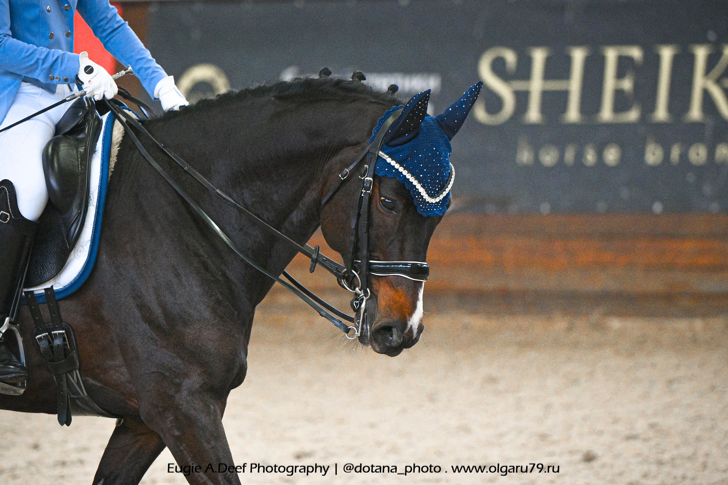 2026-02-15 — КСК Отрада (выездка). ТУРНИРНАЯ КОННАЯ ФОТОГРАФИЯ, Руднева Ольга и Евгений Адеев