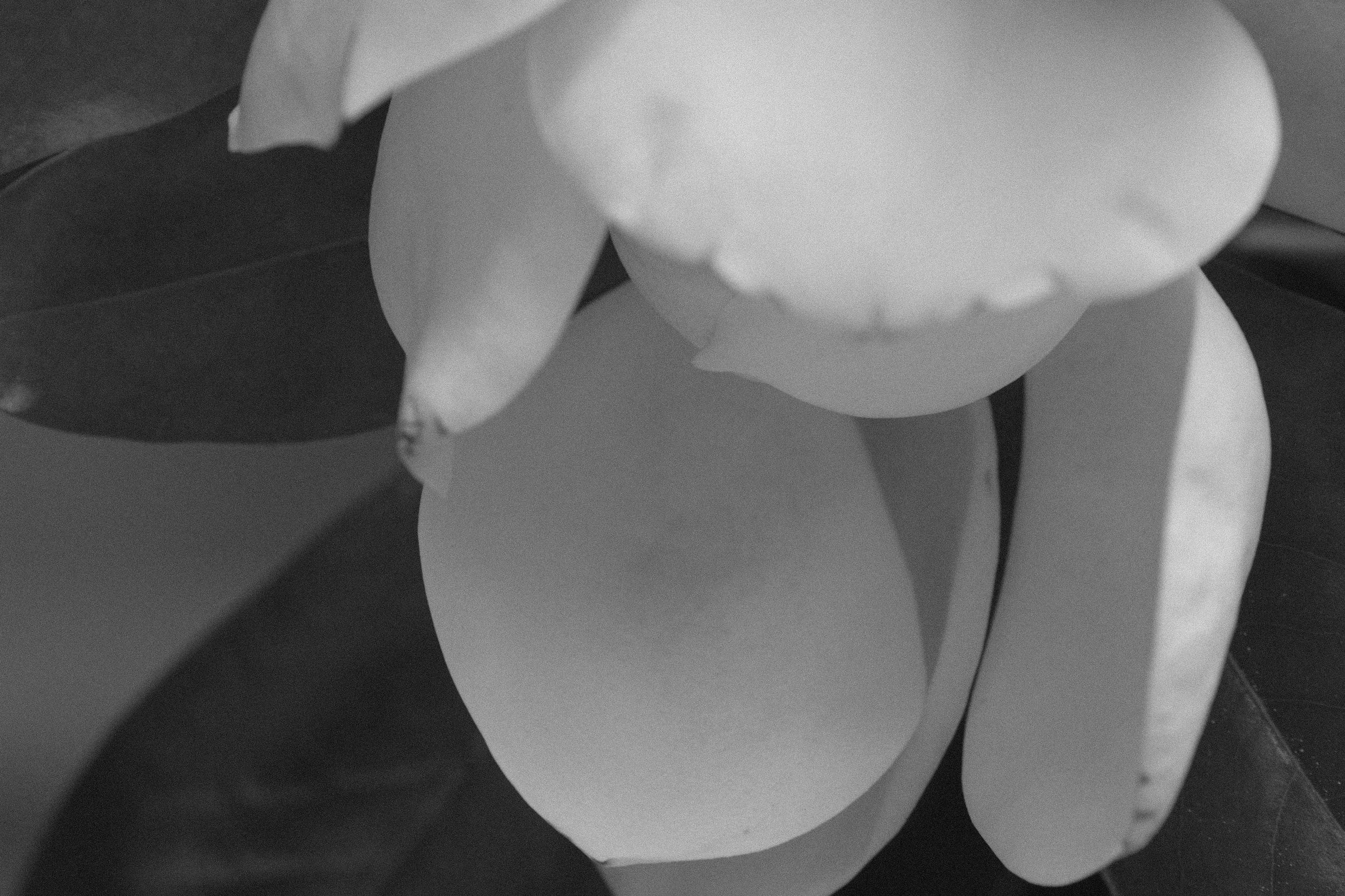 About me. Елена Цихон художник фотографии и мастер фото-ДНК