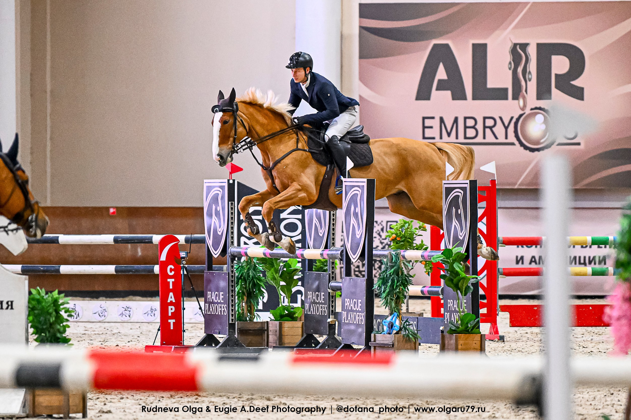 2026-01-23_25 КСК «ВИВАТ, РОССИЯ!» КОНКУРНЫЙ БУМ. ТУРНИРНАЯ КОННАЯ ФОТОГРАФИЯ, Руднева Ольга и Евгений Адеев