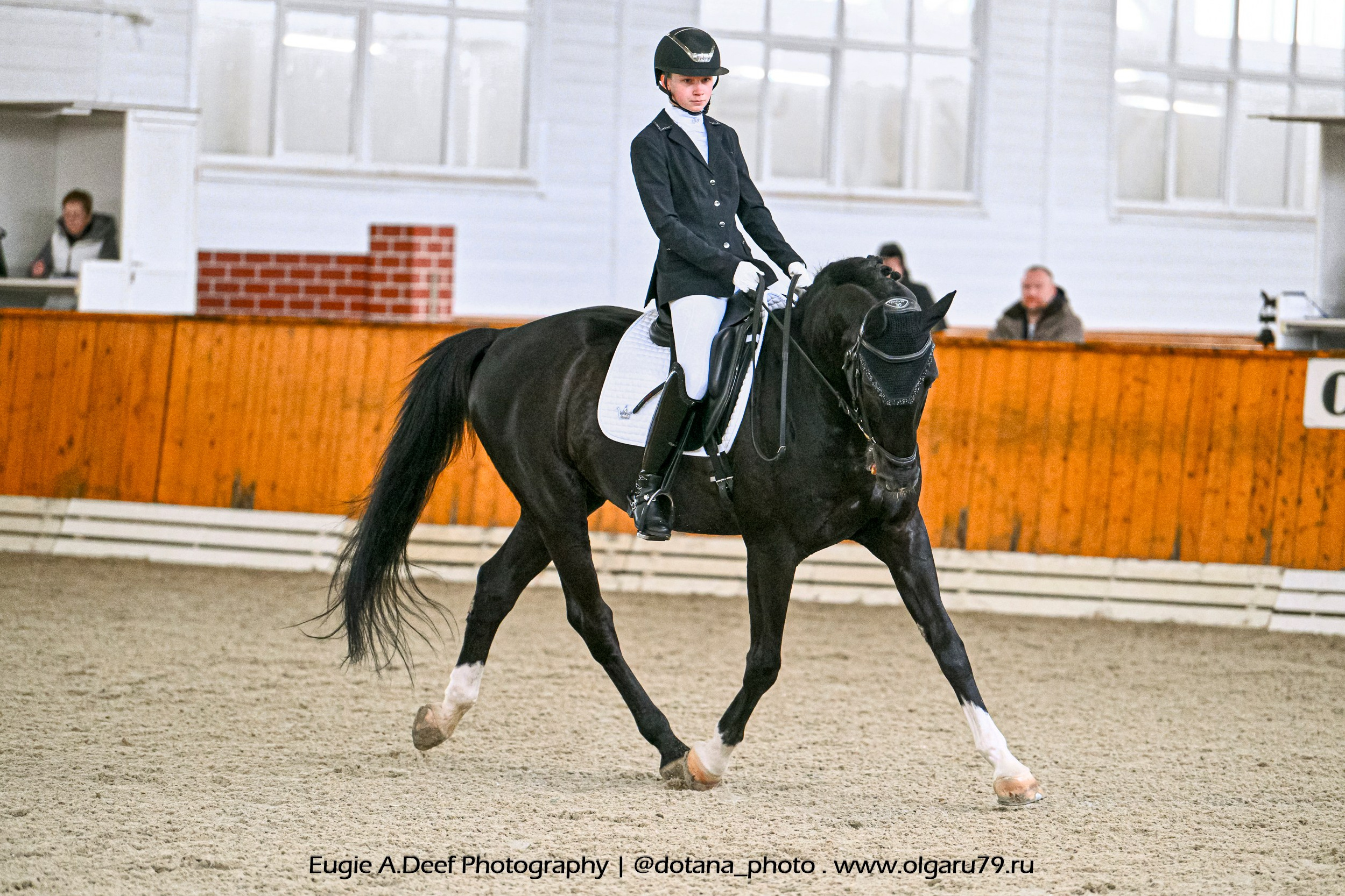 2026-02-15 — КСК Конкорд (выездка). ТУРНИРНАЯ КОННАЯ ФОТОГРАФИЯ, Руднева Ольга и Евгений Адеев