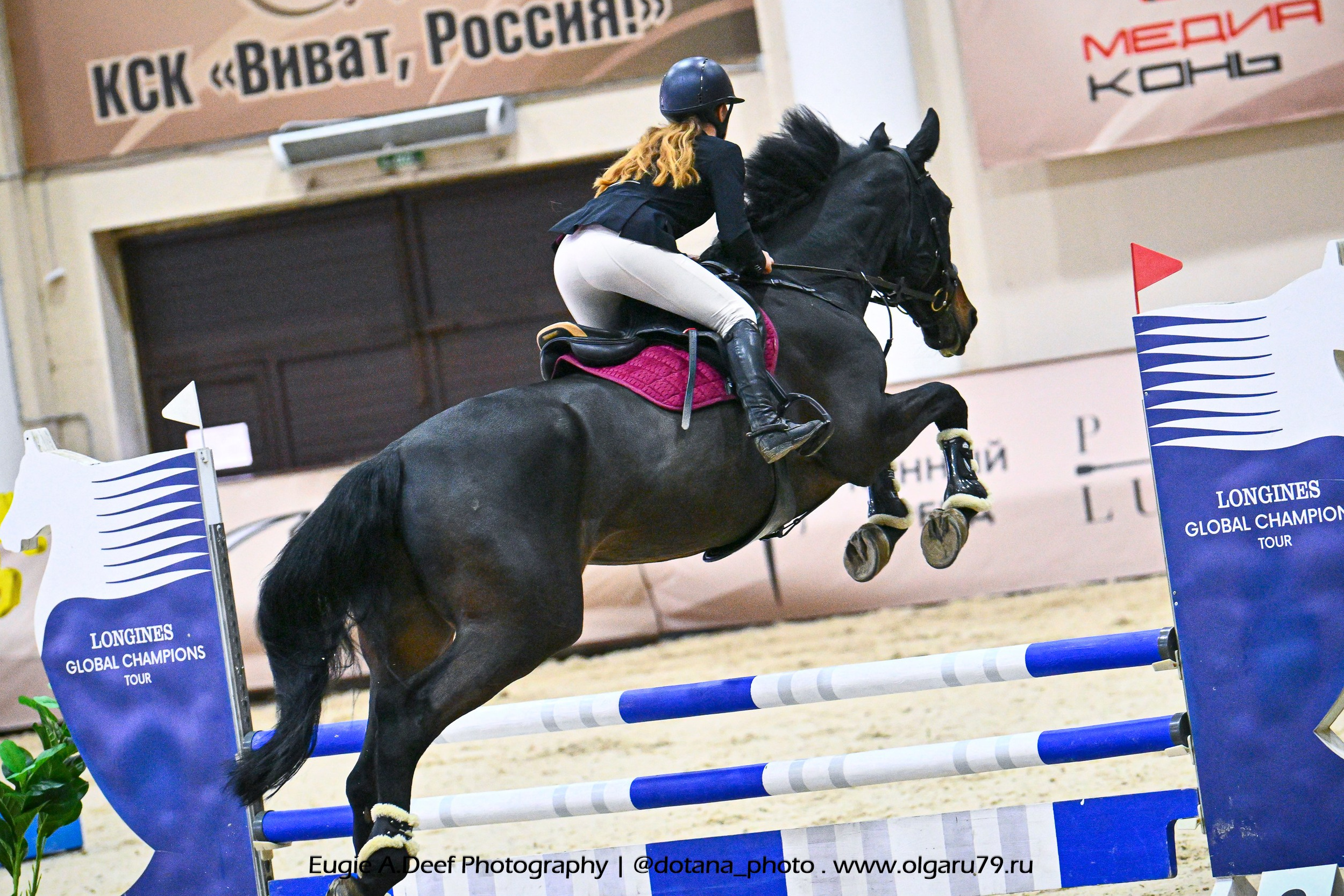 2026-02-13 и 14 — КСК Виват, Россия! (конкур). ТУРНИРНАЯ КОННАЯ ФОТОГРАФИЯ, Руднева Ольга и Евгений Адеев